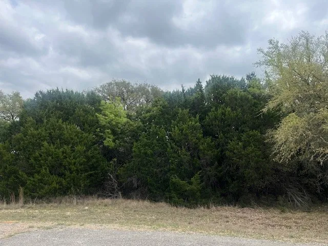 Unimproved Land For Sale in Hill County , 10019 Ridgeway Court, Whitney, Texas 76692, 0, 0, Garage spaces, 0 Sqft, built in 0, Price $9,900, mls#20886893, Real Estate Agent in Whitney, Homes For Sale in Hill county, Homes For Sale in Whitney, Realtor in Whitney Texas, Real Estate Brokerage Independent Realty Texas, Luminita Cordes Realtor