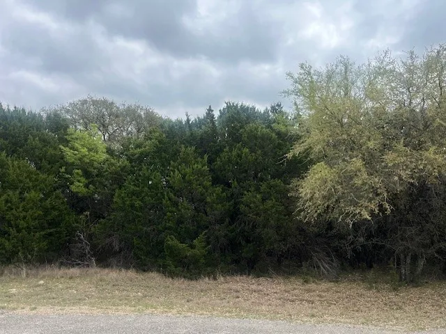 Unimproved Land For Sale in Hill County , 10019 Ridgeway Court, Whitney, Texas 76692, 0, 0, Garage spaces, 0 Sqft, built in 0, Price $9,900, mls#20886893, Real Estate Agent in Whitney, Homes For Sale in Hill county, Homes For Sale in Whitney, Realtor in Whitney Texas, Real Estate Brokerage Independent Realty Texas, Luminita Cordes Realtor
