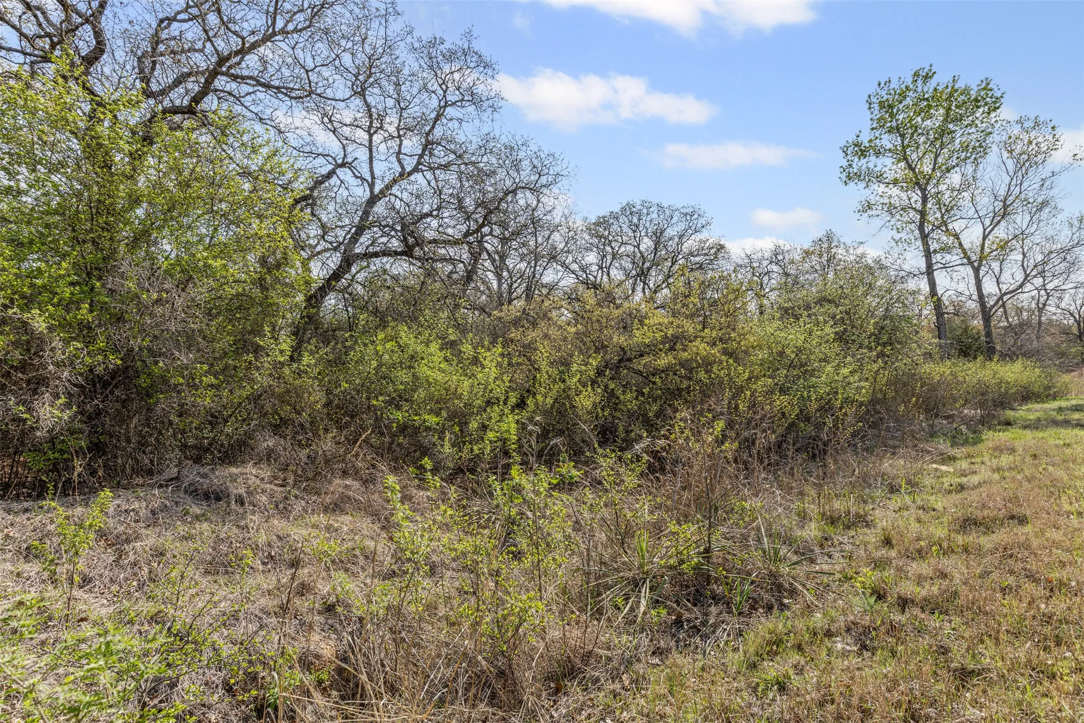 Unimproved Land For Sale in Wise County , 05 County Road 3855, Bridgeport, Texas 76426, 0, 0, Garage spaces, 0 Sqft, built in 0, mls#20888202, Real Estate Agent in Bridgeport, Homes For Sale in Wise county, Homes For Sale in Bridgeport, Realtor in Bridgeport Texas, Real Estate Brokerage Independent Realty Texas, Luminita Cordes Realtor