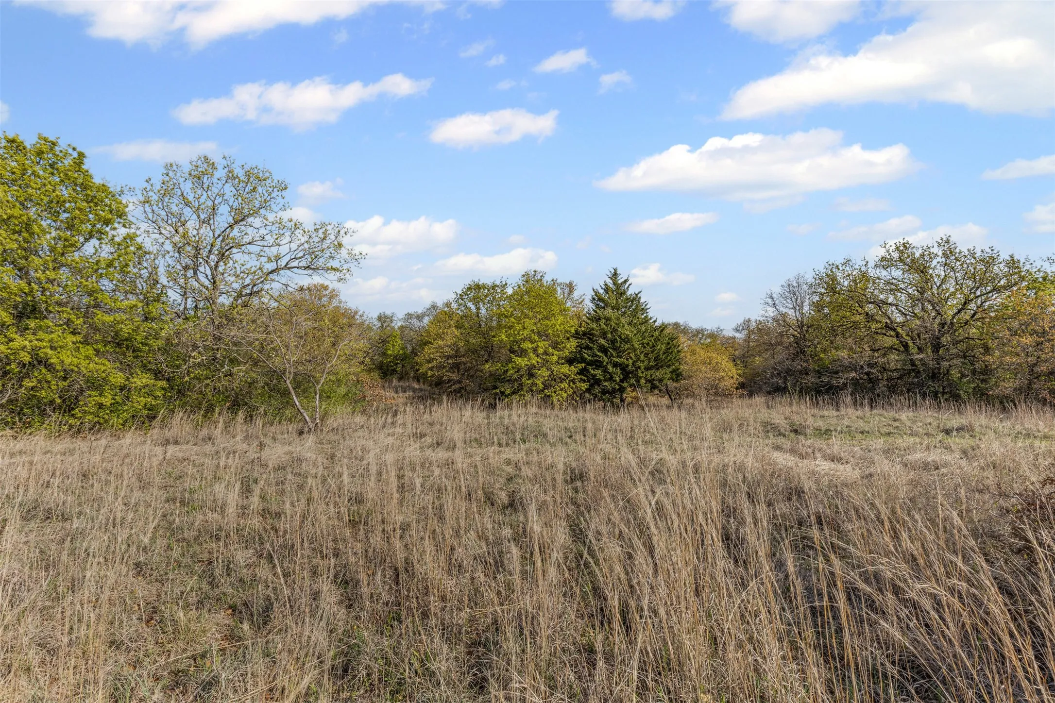 Unimproved Land For Sale in Wise County , 05 County Road 3855, Bridgeport, Texas 76426, 0, 0, Garage spaces, 0 Sqft, built in 0, mls#20888202, Real Estate Agent in Bridgeport, Homes For Sale in Wise county, Homes For Sale in Bridgeport, Realtor in Bridgeport Texas, Real Estate Brokerage Independent Realty Texas, Luminita Cordes Realtor