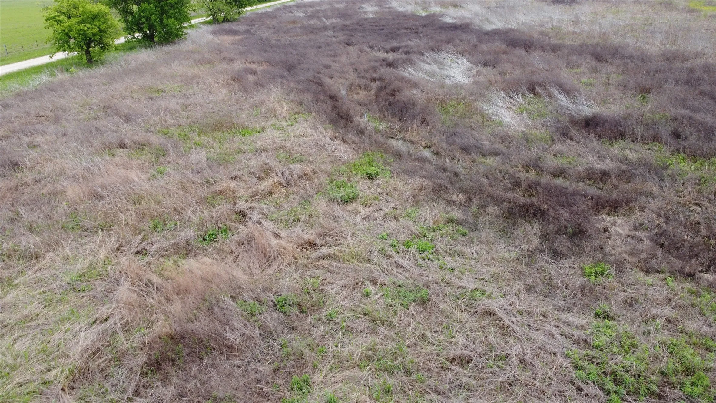 Unimproved Land For Sale in Limestone County , TBD LCR 158, Coolidge, Texas 76635, 0, 0, Garage spaces, 0 Sqft, built in 0, mls#20890162, Real Estate Agent in Coolidge, Homes For Sale in Limestone county, Homes For Sale in Coolidge, Realtor in Coolidge Texas, Real Estate Brokerage Independent Realty Texas, Luminita Cordes Realtor