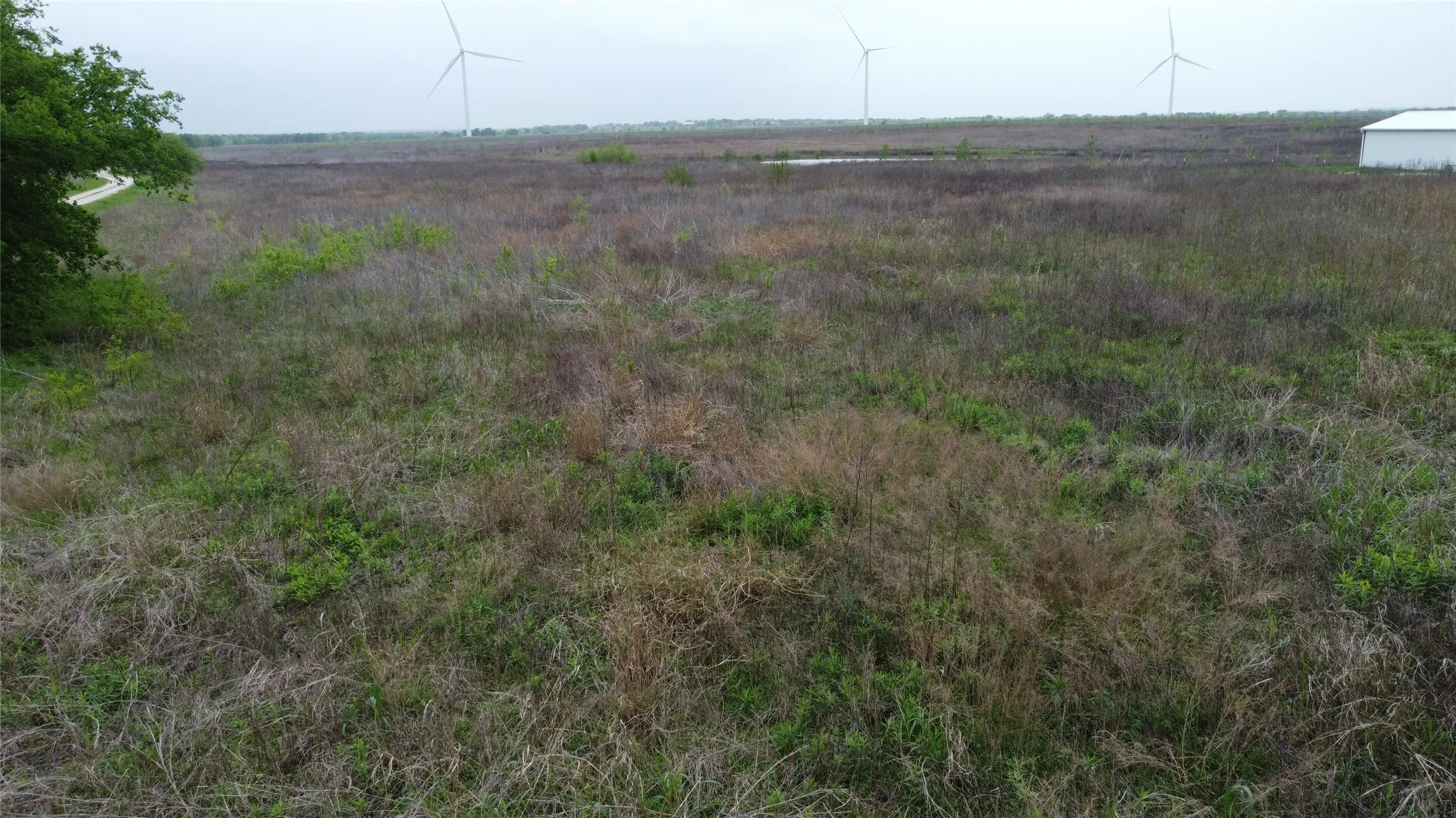 Unimproved Land For Sale in Limestone County , TBD LCR 158, Coolidge, Texas 76635, 0, 0, Garage spaces, 0 Sqft, built in 0, mls#20890162, Real Estate Agent in Coolidge, Homes For Sale in Limestone county, Homes For Sale in Coolidge, Realtor in Coolidge Texas, Real Estate Brokerage Independent Realty Texas, Luminita Cordes Realtor
