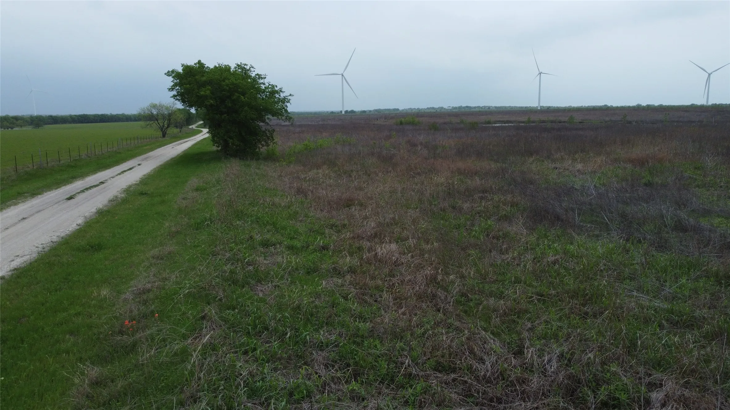 Unimproved Land For Sale in Limestone County , TBD LCR 158, Coolidge, Texas 76635, 0, 0, Garage spaces, 0 Sqft, built in 0, mls#20890162, Real Estate Agent in Coolidge, Homes For Sale in Limestone county, Homes For Sale in Coolidge, Realtor in Coolidge Texas, Real Estate Brokerage Independent Realty Texas, Luminita Cordes Realtor