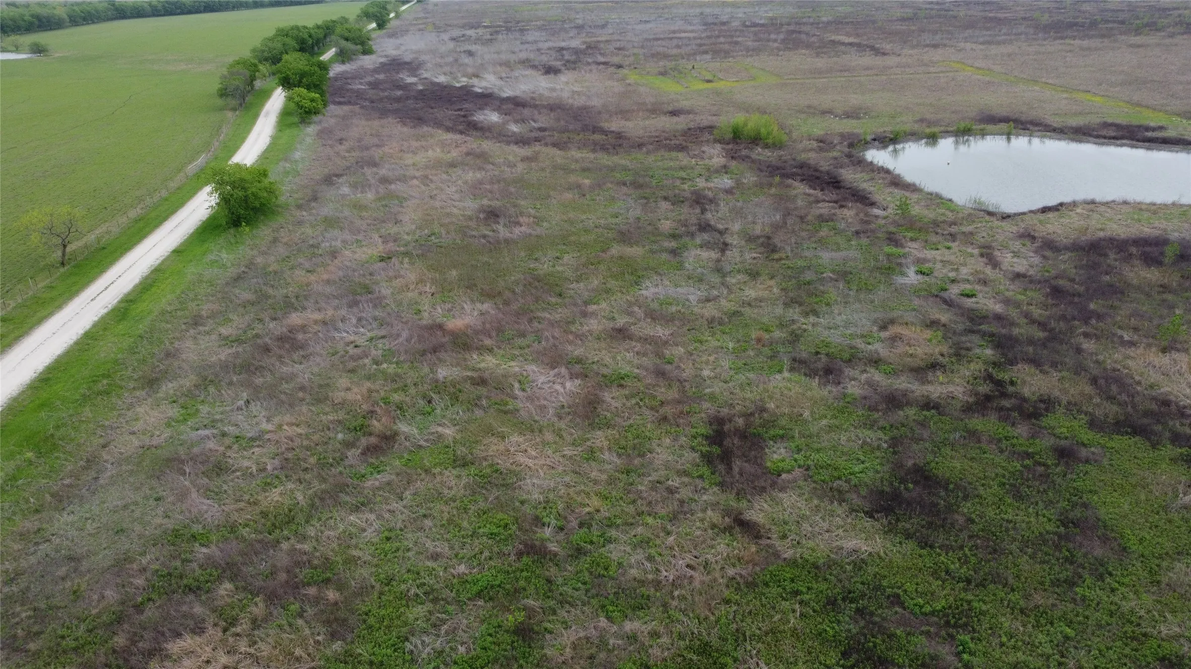 Unimproved Land For Sale in Limestone County , TBD LCR 158, Coolidge, Texas 76635, 0, 0, Garage spaces, 0 Sqft, built in 0, mls#20890162, Real Estate Agent in Coolidge, Homes For Sale in Limestone county, Homes For Sale in Coolidge, Realtor in Coolidge Texas, Real Estate Brokerage Independent Realty Texas, Luminita Cordes Realtor