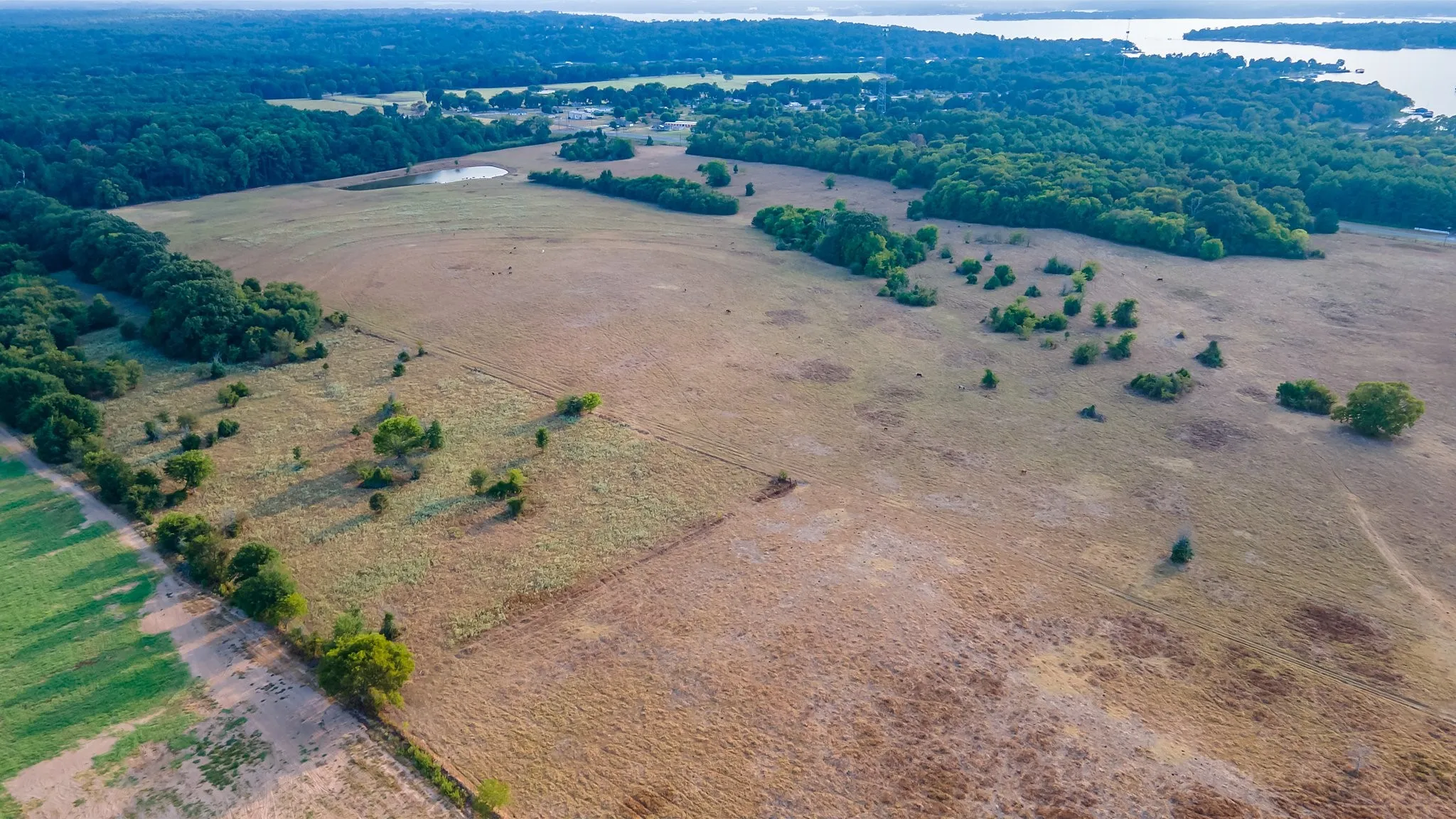 Unimproved Land For Sale in Smith County , 0 W FM 344, Bullard, Texas 75757, 0, 0, Garage spaces, 0 Sqft, built in 0, mls#20892810, Real Estate Agent in Bullard, Homes For Sale in Smith county, Homes For Sale in Bullard, Realtor in Bullard Texas, Real Estate Brokerage Independent Realty Texas, Luminita Cordes Realtor