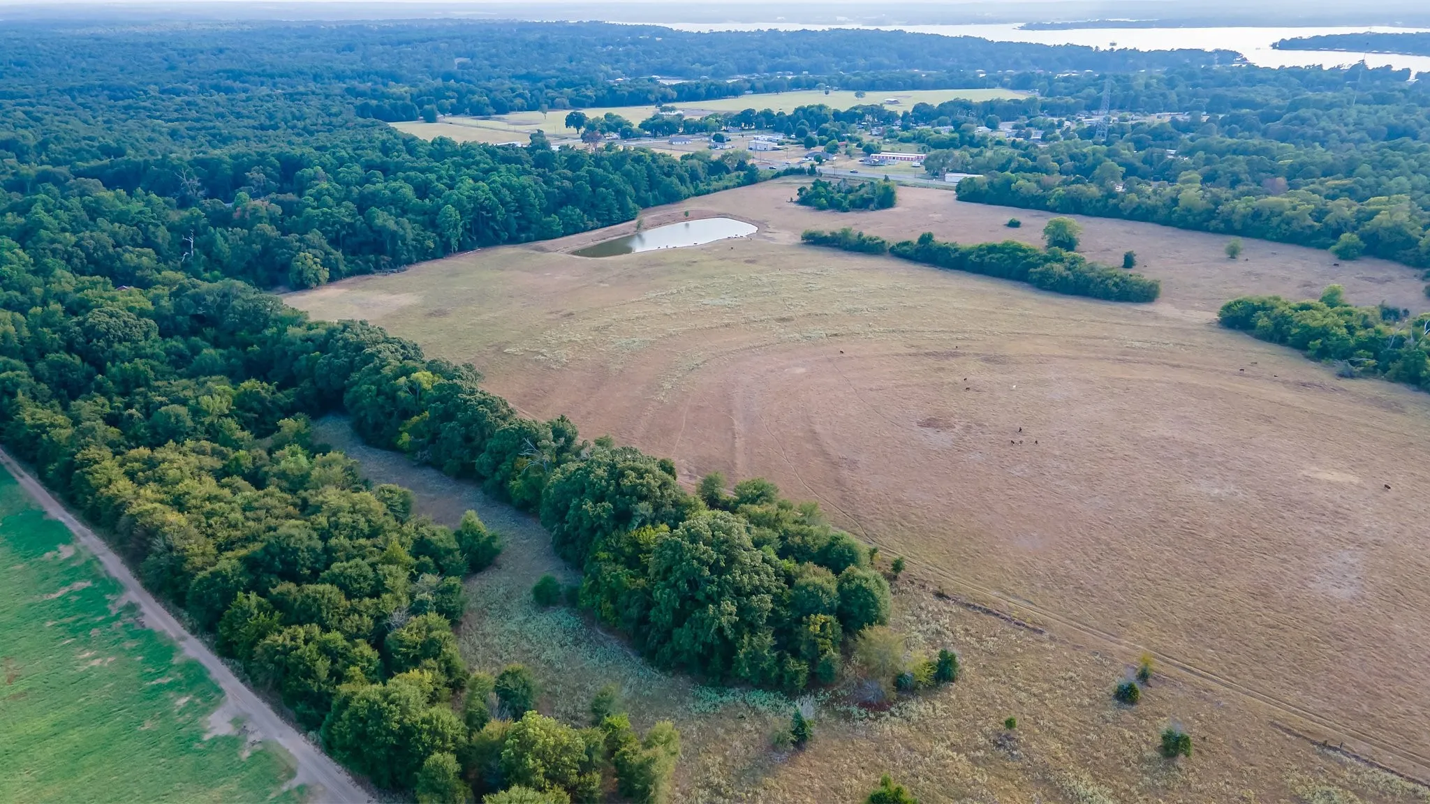 Unimproved Land For Sale in Smith County , 0 W FM 344, Bullard, Texas 75757, 0, 0, Garage spaces, 0 Sqft, built in 0, mls#20892810, Real Estate Agent in Bullard, Homes For Sale in Smith county, Homes For Sale in Bullard, Realtor in Bullard Texas, Real Estate Brokerage Independent Realty Texas, Luminita Cordes Realtor