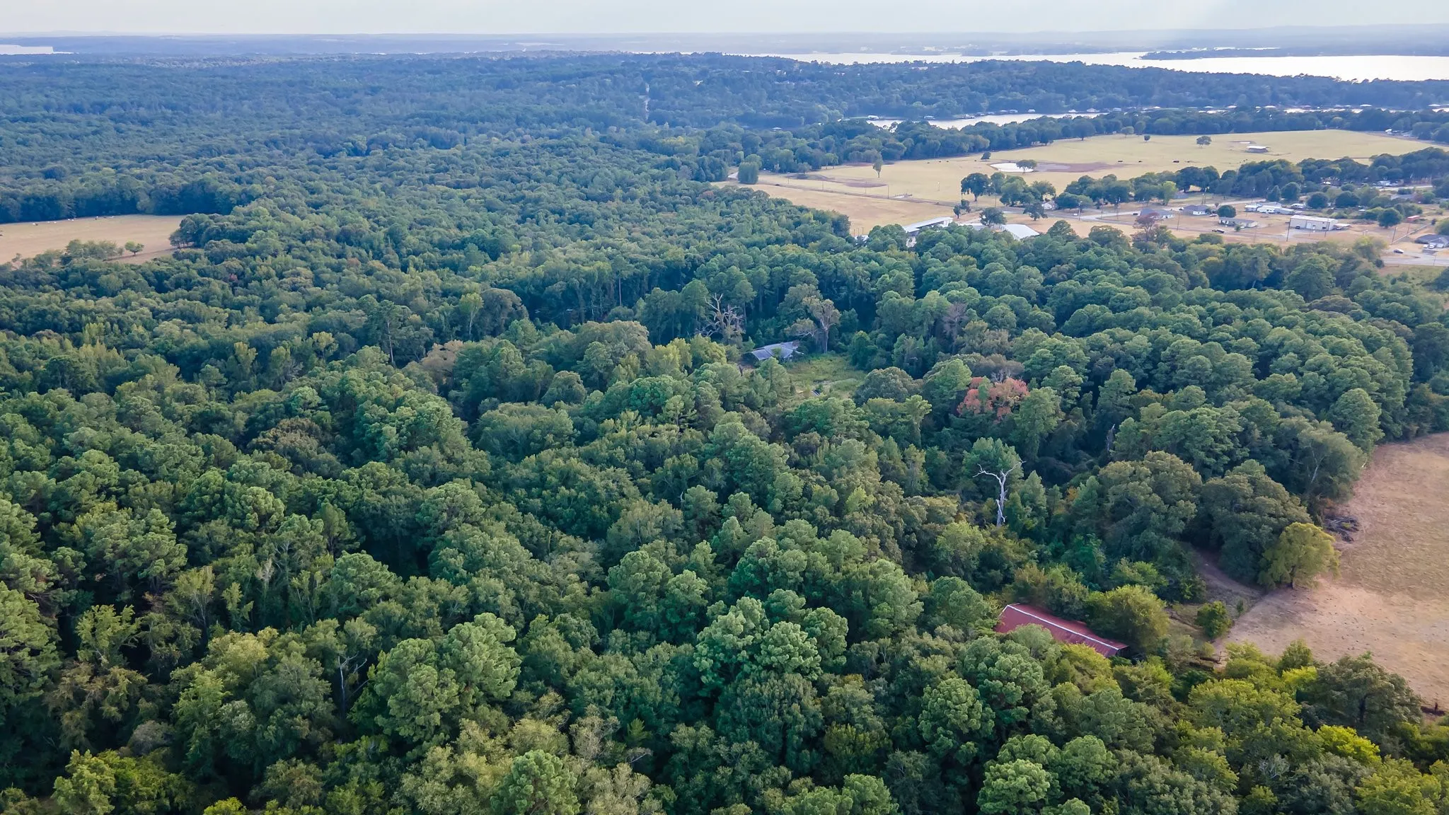 Unimproved Land For Sale in Smith County , 0 W FM 344, Bullard, Texas 75757, 0, 0, Garage spaces, 0 Sqft, built in 0, mls#20892810, Real Estate Agent in Bullard, Homes For Sale in Smith county, Homes For Sale in Bullard, Realtor in Bullard Texas, Real Estate Brokerage Independent Realty Texas, Luminita Cordes Realtor