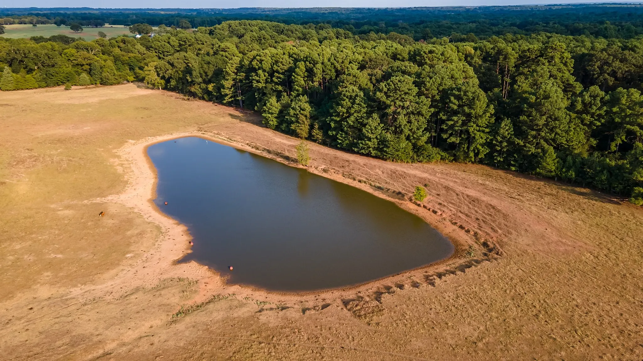 Unimproved Land For Sale in Smith County , 0 W FM 344, Bullard, Texas 75757, 0, 0, Garage spaces, 0 Sqft, built in 0, mls#20892810, Real Estate Agent in Bullard, Homes For Sale in Smith county, Homes For Sale in Bullard, Realtor in Bullard Texas, Real Estate Brokerage Independent Realty Texas, Luminita Cordes Realtor