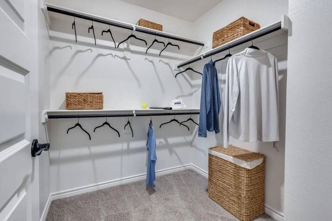 Walk in closet featuring carpet