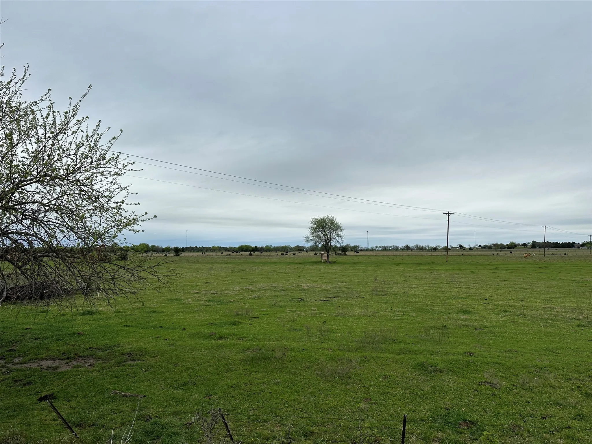 Unimproved Land For Sale in Grayson County , 000 Stiles Road, Whitesboro, Texas 76273, 0, 0, Garage spaces, 0 Sqft, built in 0, Price $1,950,000, mls#20893849, Real Estate Agent in Whitesboro, Homes For Sale in Grayson county, Homes For Sale in Whitesboro, Realtor in Whitesboro Texas, Real Estate Brokerage Independent Realty Texas, Luminita Cordes Realtor