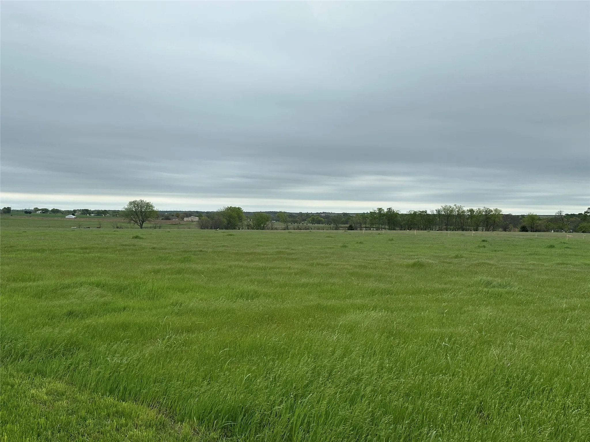 View of local wilderness featuring a rural view