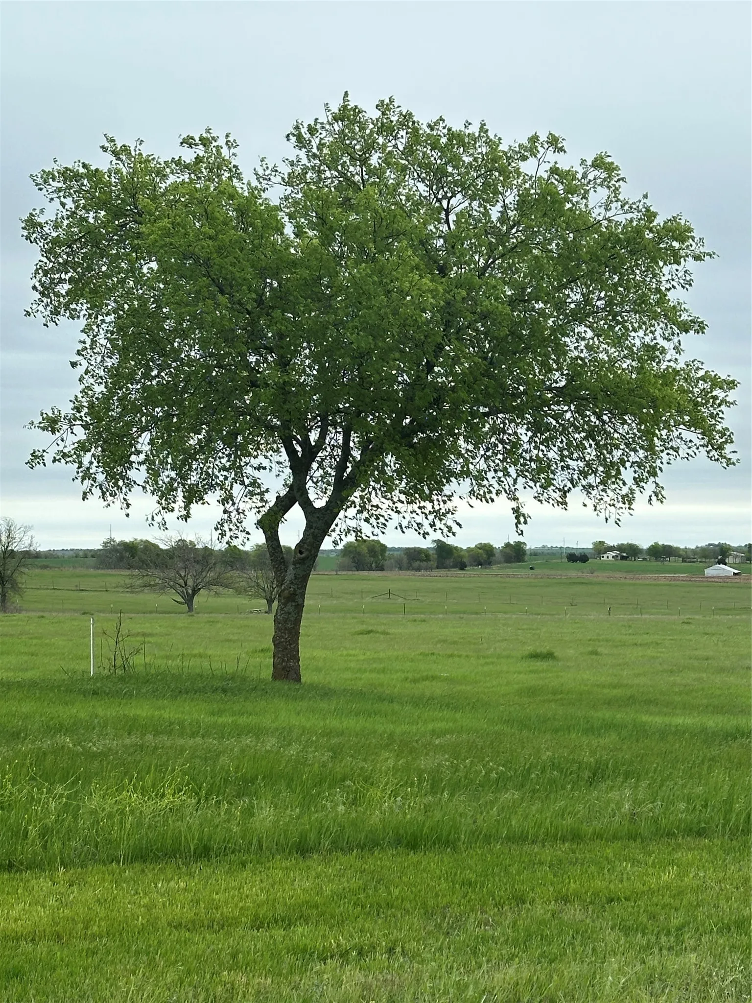 View of yard with a rural view