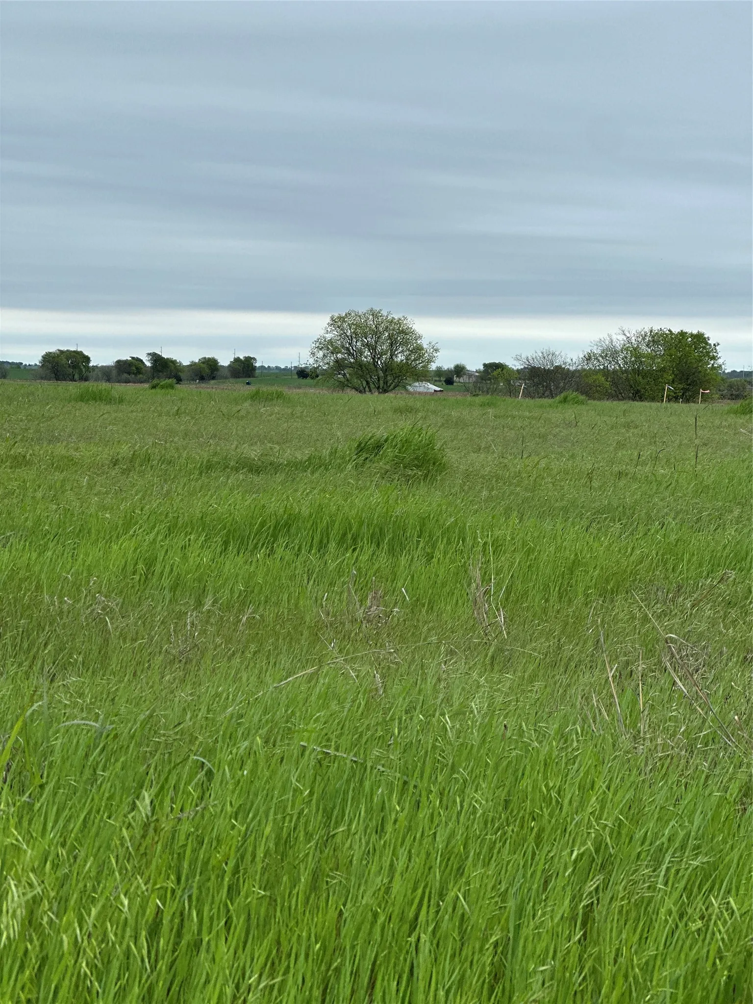View of local wilderness featuring a rural view