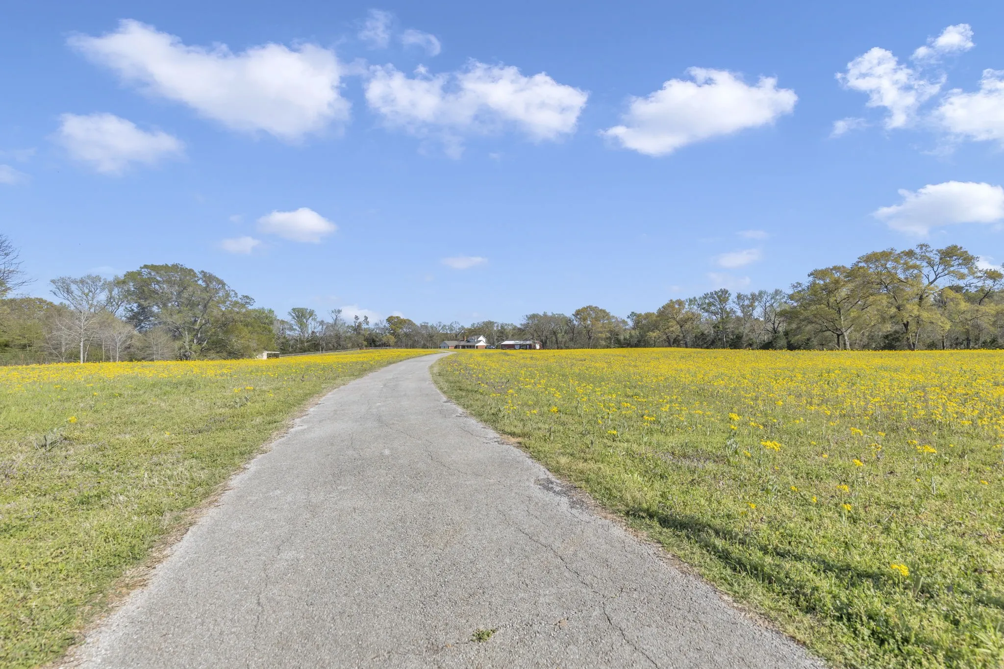 Farm For Sale in Smith County , 18340 County Road 479 Road, Lindale, Texas 75771, 3 Bedroom, 3 Bathroom, 2 Garage spaces, 2,693 Sqft, built in 1994, mls#20895495, Real Estate Agent in Lindale, Homes For Sale in Smith county, Homes For Sale in Lindale, Realtor in Lindale Texas, Real Estate Brokerage Independent Realty Texas, Luminita Cordes Realtor
