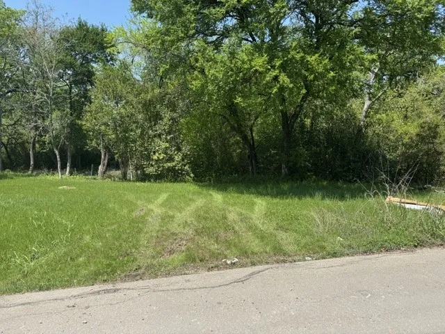 View of local wilderness