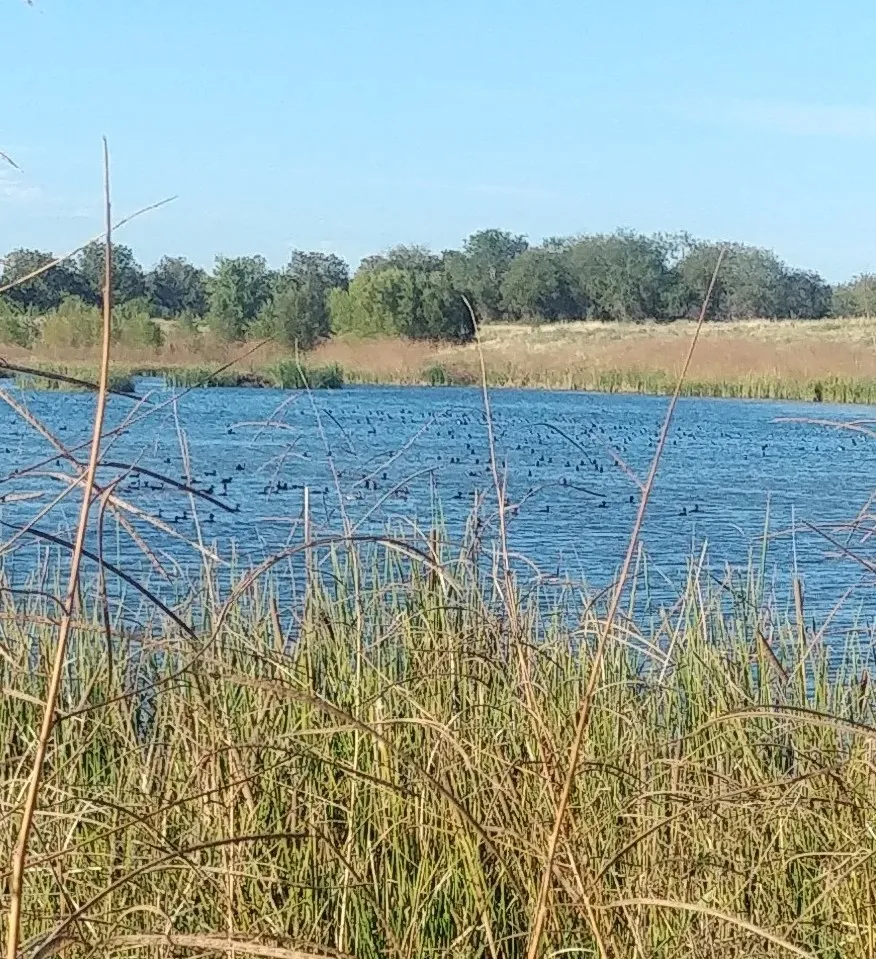 Water view