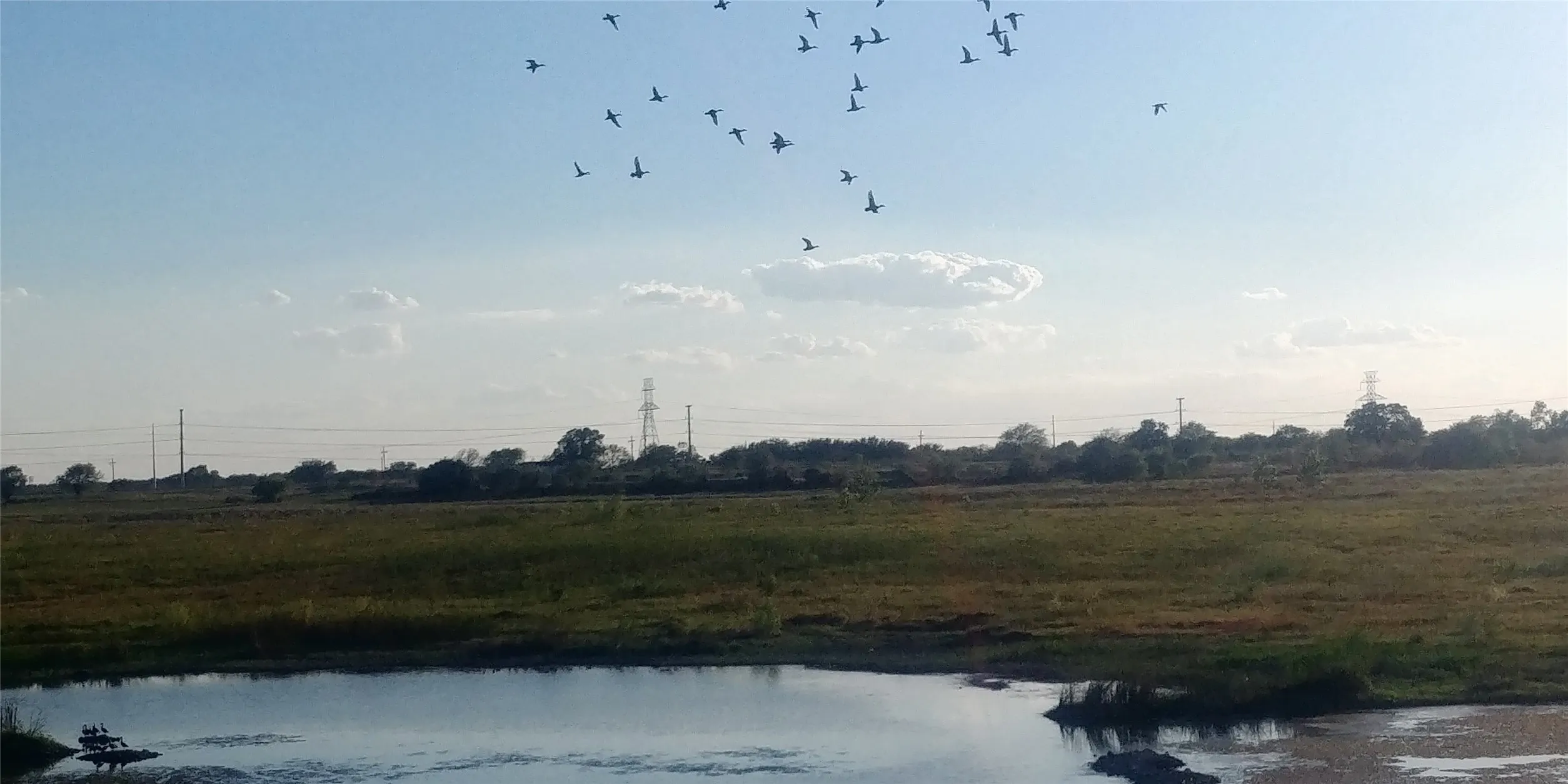 View of local wilderness featuring a water view