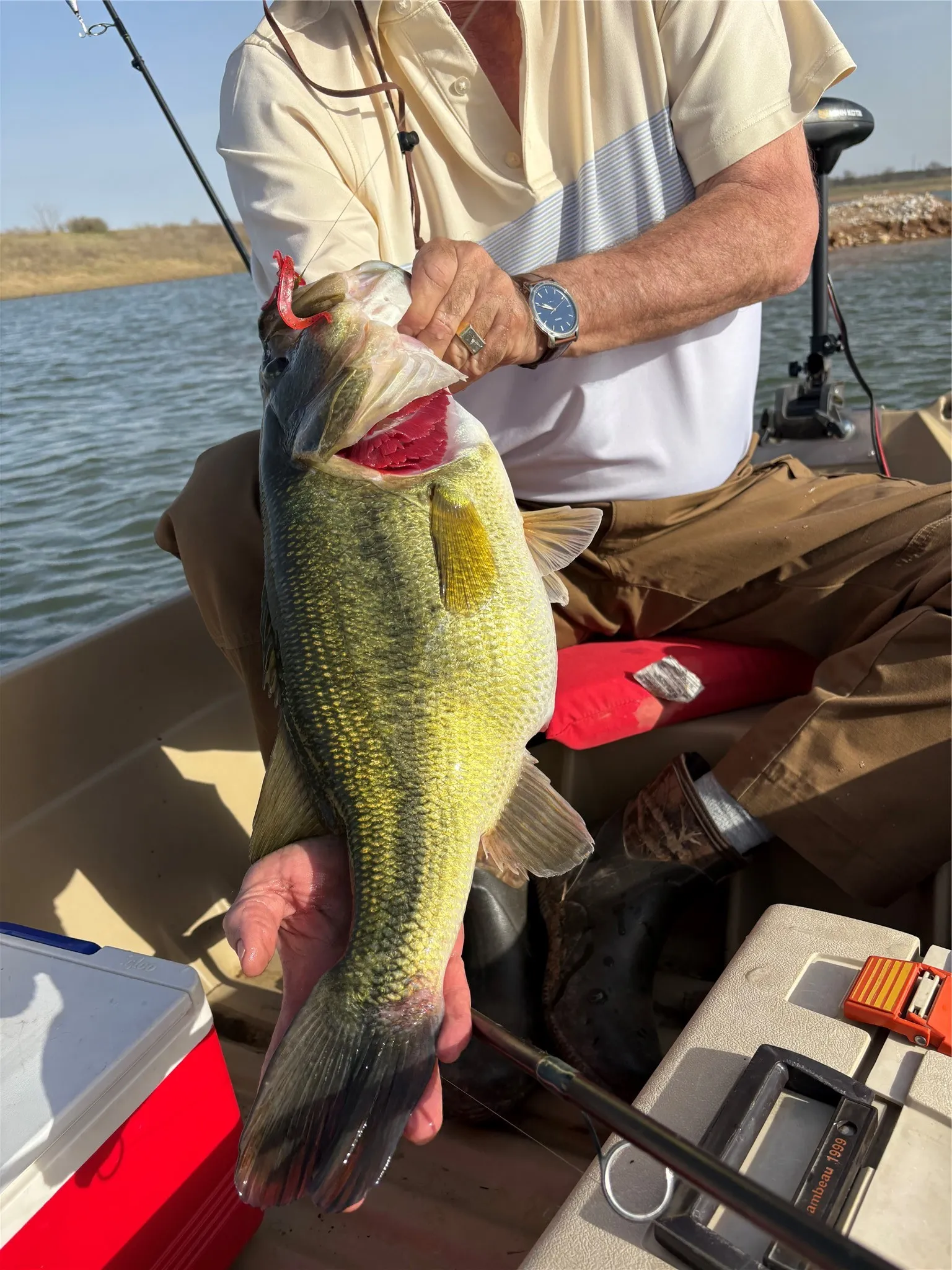 Large mouth Bass