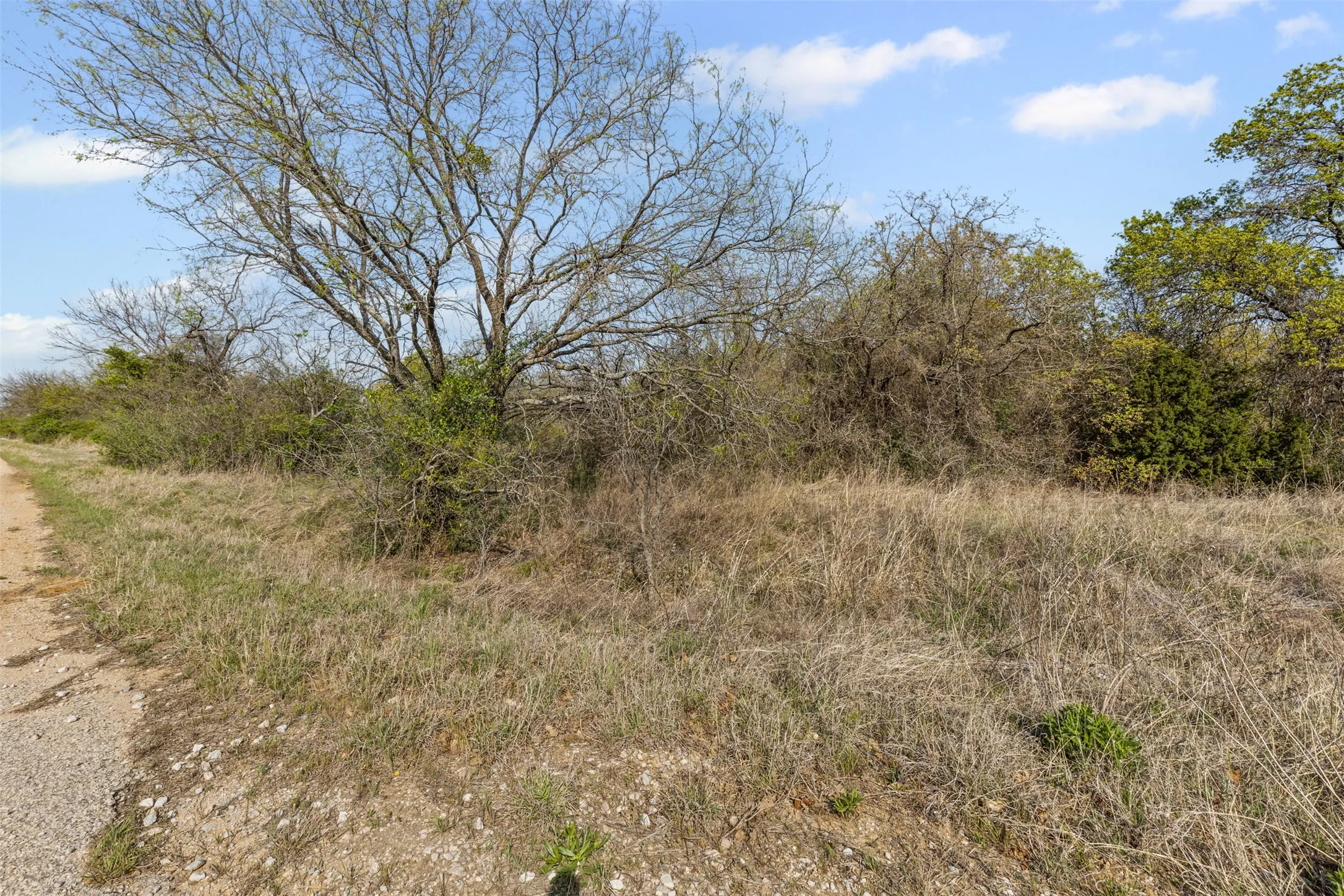 Unimproved Land For Sale in Wise County , 000 County Road 3855, Bridgeport, Texas 76487, 0, 0, Garage spaces, 0 Sqft, built in 0, mls#20894034, Real Estate Agent in Bridgeport, Homes For Sale in Wise county, Homes For Sale in Bridgeport, Realtor in Bridgeport Texas, Real Estate Brokerage Independent Realty Texas, Luminita Cordes Realtor