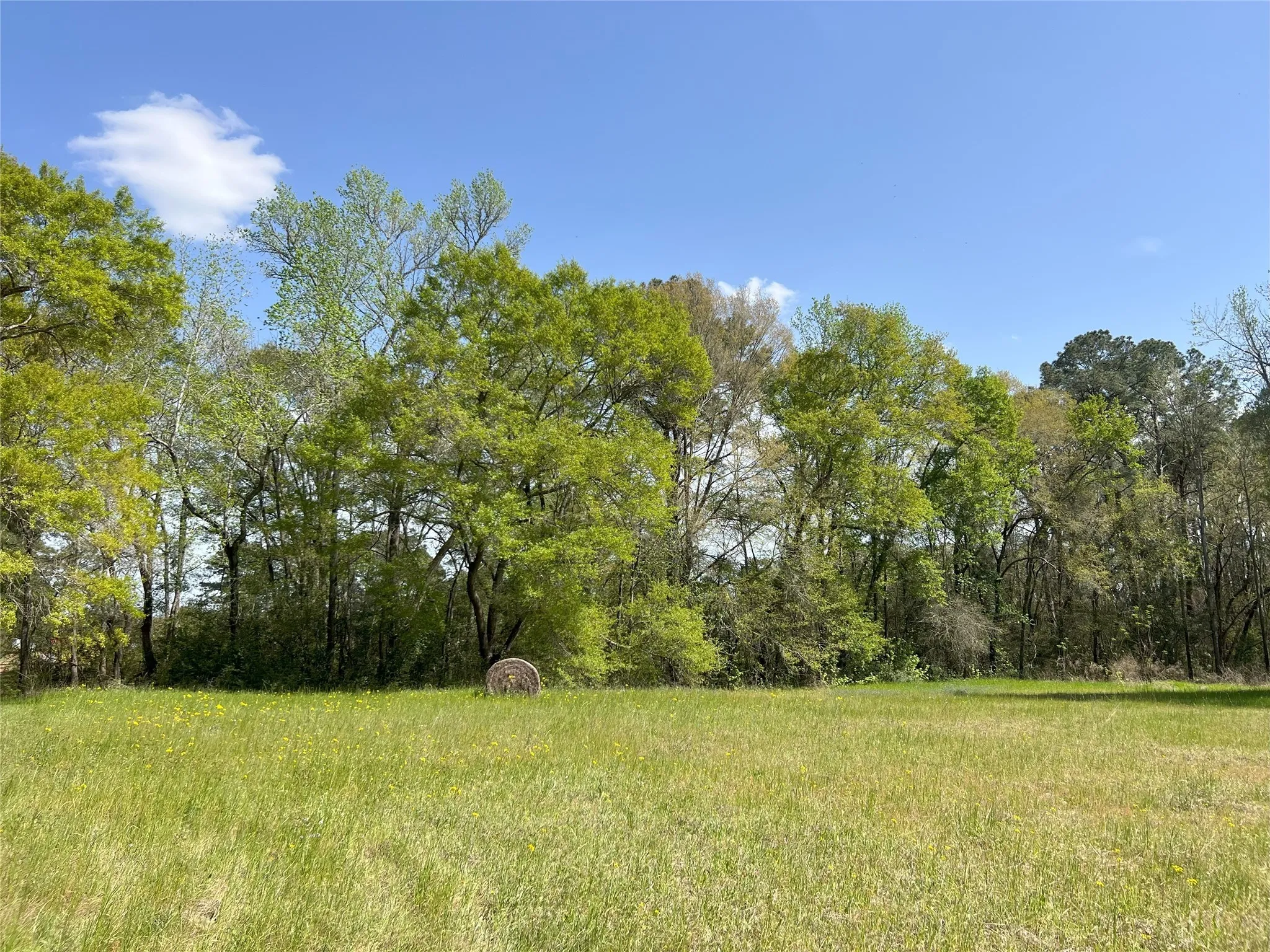 For Sale in Montgomery County , 1802 N Fm-1486, Montgomery, Texas 77356, 4 Bedrooms, 2 Bathrooms, 2 Garage spaces, 1,867 Sqft, built in 1964, Price $1,375,000, mls#2158078, Real Estate Agent in Montgomery, Homes For Sale in Montgomery county, Homes For Sale in Montgomery, Realtor in Montgomery Texas, Real Estate Brokerage Independent Realty Texas, Luminita Cordes Realtor