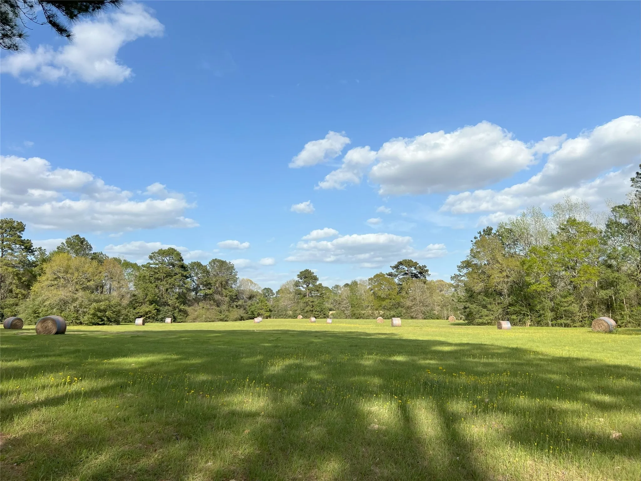 For Sale in Montgomery County , 1802 N Fm-1486, Montgomery, Texas 77356, 4 Bedrooms, 2 Bathrooms, 2 Garage spaces, 1,867 Sqft, built in 1964, Price $1,375,000, mls#2158078, Real Estate Agent in Montgomery, Homes For Sale in Montgomery county, Homes For Sale in Montgomery, Realtor in Montgomery Texas, Real Estate Brokerage Independent Realty Texas, Luminita Cordes Realtor
