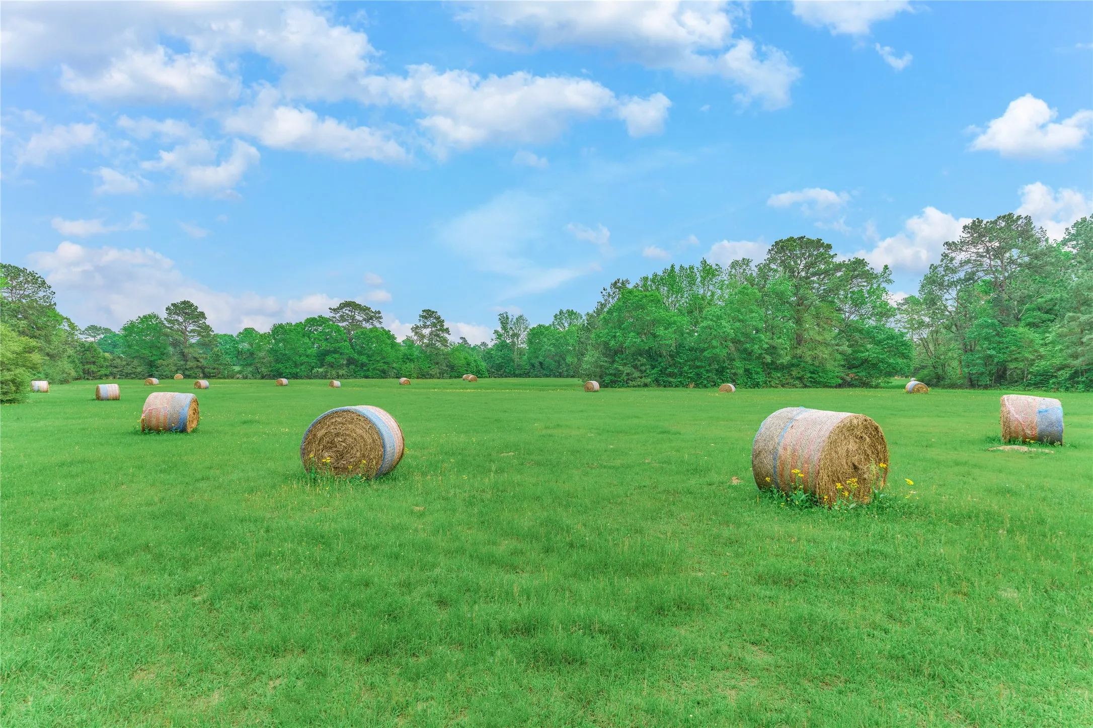 For Sale in Montgomery County , 1802 N Fm-1486, Montgomery, Texas 77356, 4 Bedrooms, 2 Bathrooms, 2 Garage spaces, 1,867 Sqft, built in 1964, Price $1,375,000, mls#2158078, Real Estate Agent in Montgomery, Homes For Sale in Montgomery county, Homes For Sale in Montgomery, Realtor in Montgomery Texas, Real Estate Brokerage Independent Realty Texas, Luminita Cordes Realtor