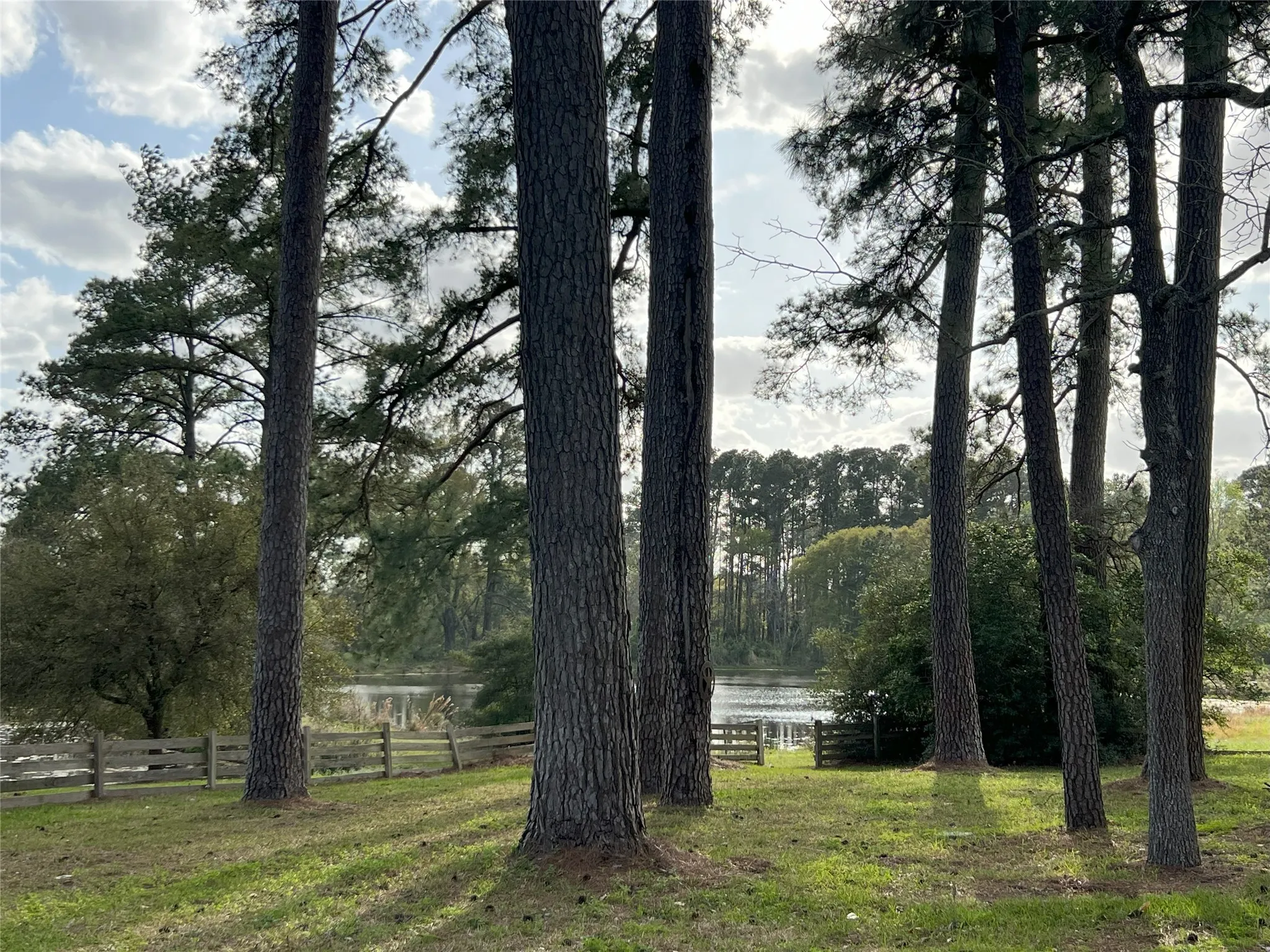 For Sale in Montgomery County , 1802 N Fm-1486, Montgomery, Texas 77356, 4 Bedrooms, 2 Bathrooms, 2 Garage spaces, 1,867 Sqft, built in 1964, Price $1,375,000, mls#2158078, Real Estate Agent in Montgomery, Homes For Sale in Montgomery county, Homes For Sale in Montgomery, Realtor in Montgomery Texas, Real Estate Brokerage Independent Realty Texas, Luminita Cordes Realtor