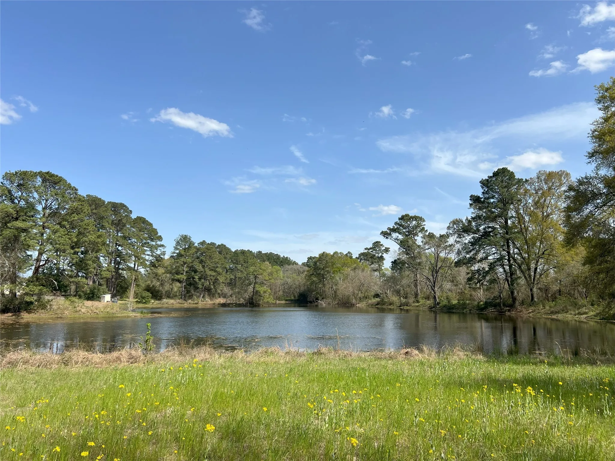 For Sale in Montgomery County , 1802 N Fm-1486, Montgomery, Texas 77356, 4 Bedrooms, 2 Bathrooms, 2 Garage spaces, 1,867 Sqft, built in 1964, Price $1,375,000, mls#2158078, Real Estate Agent in Montgomery, Homes For Sale in Montgomery county, Homes For Sale in Montgomery, Realtor in Montgomery Texas, Real Estate Brokerage Independent Realty Texas, Luminita Cordes Realtor