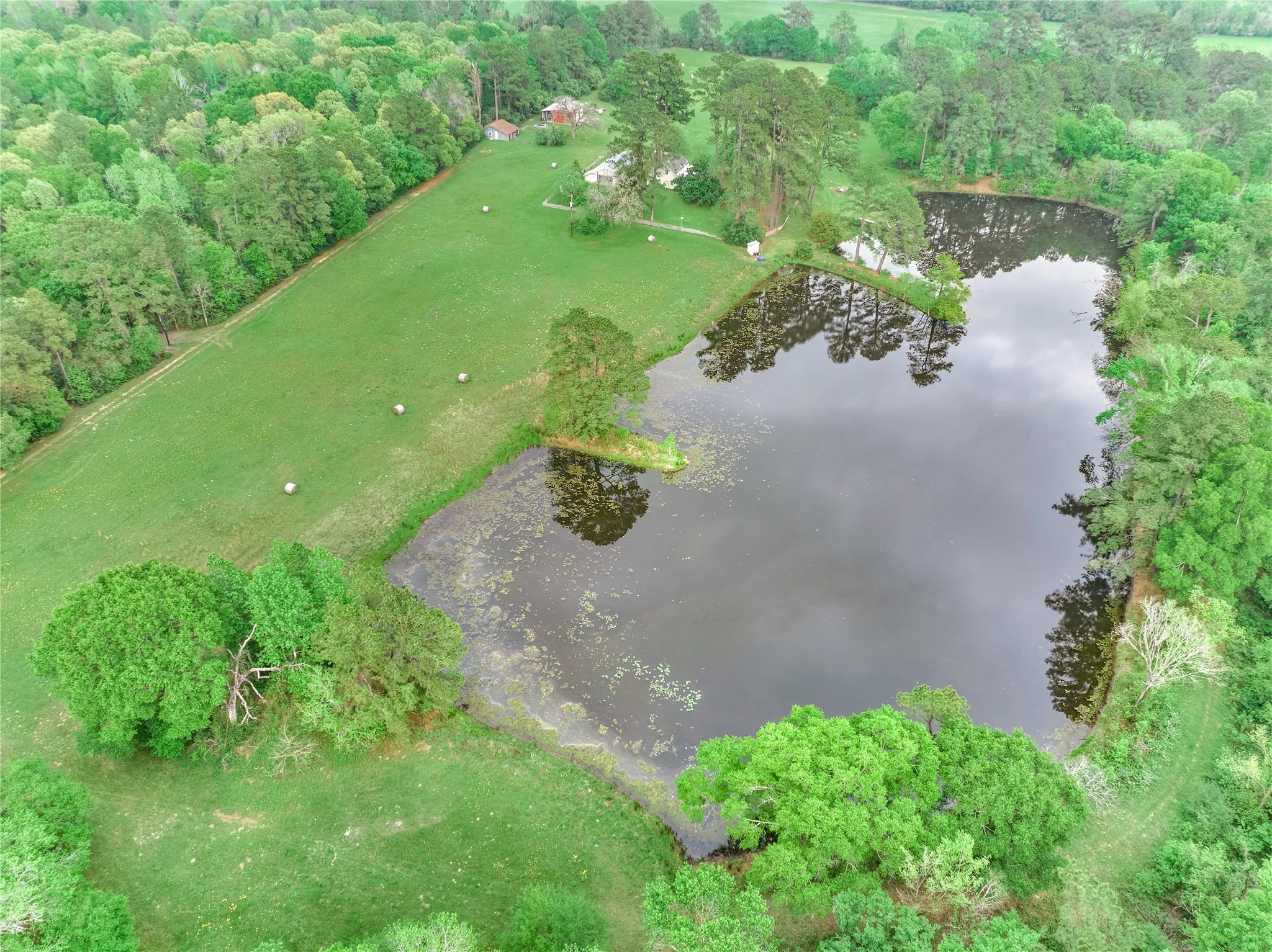 For Sale in Montgomery County , 1802 N Fm-1486, Montgomery, Texas 77356, 4 Bedrooms, 2 Bathrooms, 2 Garage spaces, 1,867 Sqft, built in 1964, Price $1,375,000, mls#2158078, Real Estate Agent in Montgomery, Homes For Sale in Montgomery county, Homes For Sale in Montgomery, Realtor in Montgomery Texas, Real Estate Brokerage Independent Realty Texas, Luminita Cordes Realtor