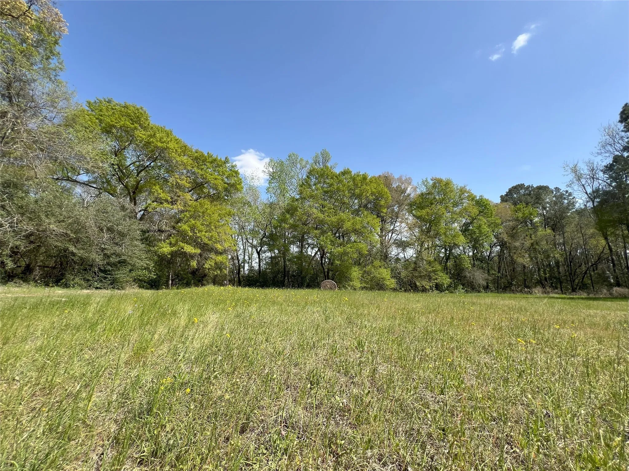For Sale in Montgomery County , 1802 N Fm-1486, Montgomery, Texas 77356, 4 Bedrooms, 2 Bathrooms, 2 Garage spaces, 1,867 Sqft, built in 1964, Price $1,375,000, mls#2158078, Real Estate Agent in Montgomery, Homes For Sale in Montgomery county, Homes For Sale in Montgomery, Realtor in Montgomery Texas, Real Estate Brokerage Independent Realty Texas, Luminita Cordes Realtor