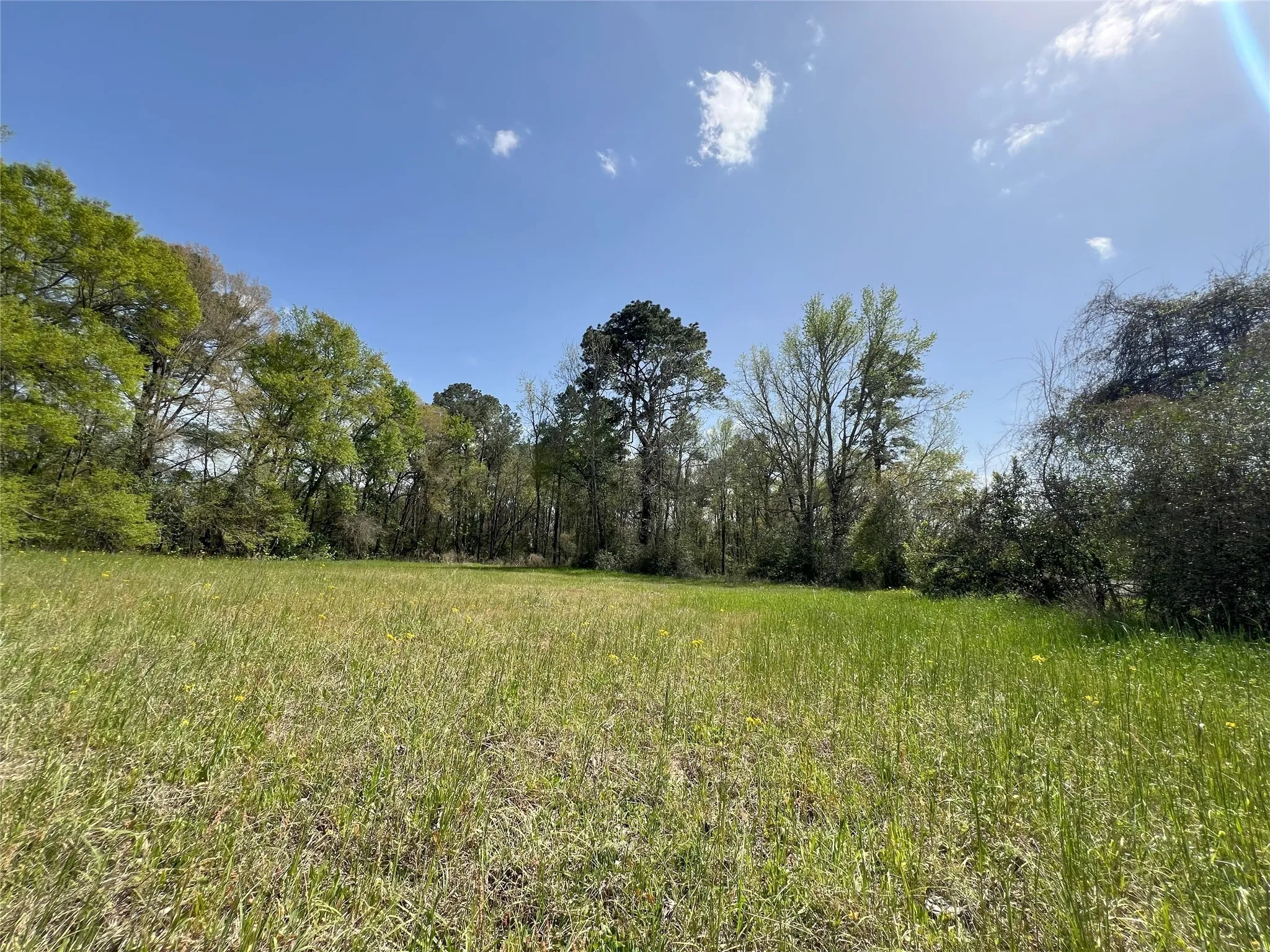 For Sale in Montgomery County , 1802 N Fm-1486, Montgomery, Texas 77356, 4 Bedrooms, 2 Bathrooms, 2 Garage spaces, 1,867 Sqft, built in 1964, Price $1,375,000, mls#2158078, Real Estate Agent in Montgomery, Homes For Sale in Montgomery county, Homes For Sale in Montgomery, Realtor in Montgomery Texas, Real Estate Brokerage Independent Realty Texas, Luminita Cordes Realtor