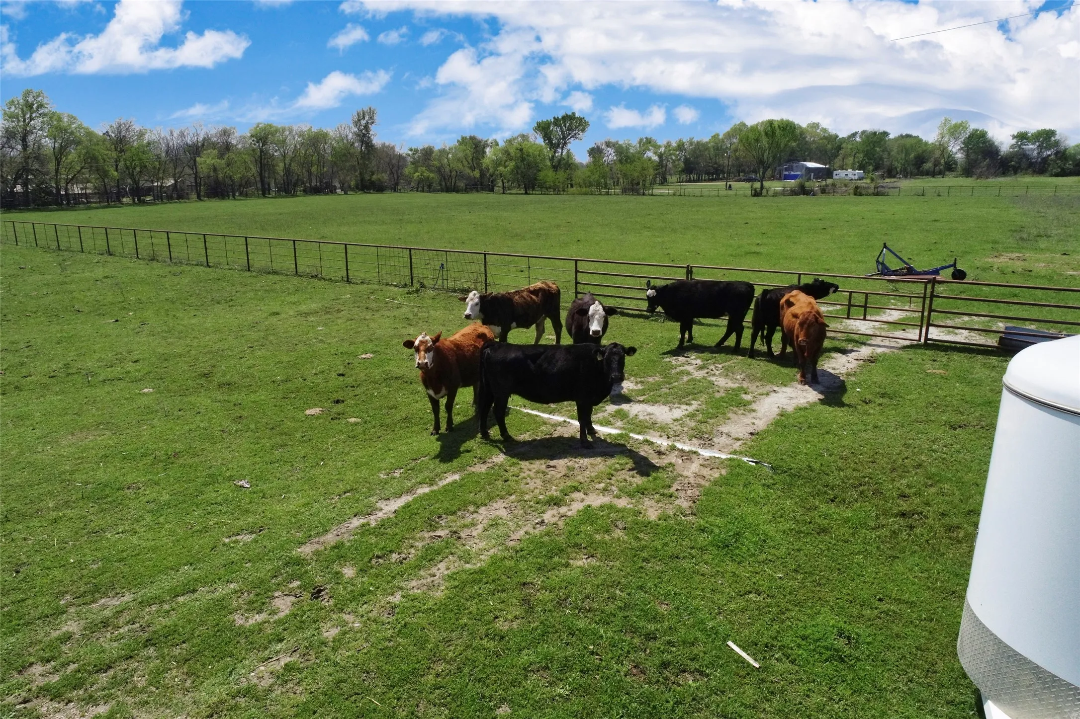 Ranch For Sale in Fannin County , 0000 County Road 5040, Leonard, Texas 75452, 0, 0, Garage spaces, 0 Sqft, built in 1950, mls#20897443, Real Estate Agent in Leonard, Homes For Sale in Fannin county, Homes For Sale in Leonard, Realtor in Leonard Texas, Real Estate Brokerage Independent Realty Texas, Luminita Cordes Realtor