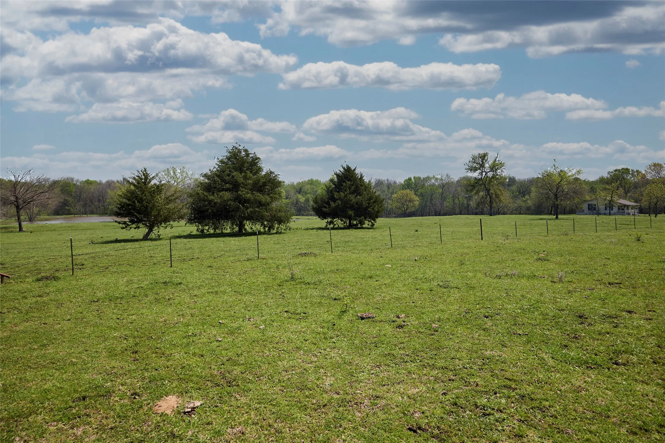 Ranch For Sale in Fannin County , 0000 County Road 5040, Leonard, Texas 75452, 0, 0, Garage spaces, 0 Sqft, built in 1950, mls#20897443, Real Estate Agent in Leonard, Homes For Sale in Fannin county, Homes For Sale in Leonard, Realtor in Leonard Texas, Real Estate Brokerage Independent Realty Texas, Luminita Cordes Realtor