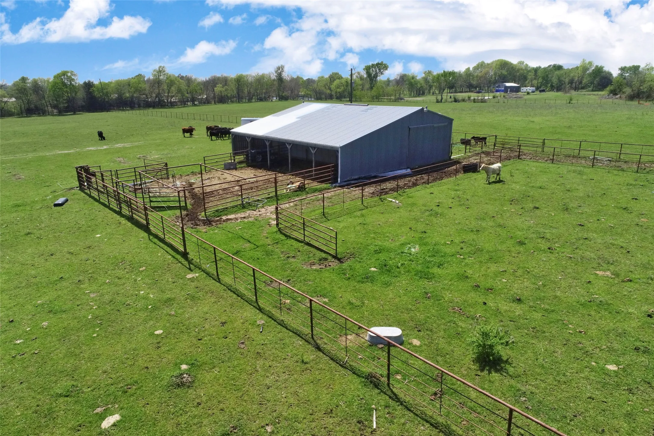 Ranch For Sale in Fannin County , 0000 County Road 5040, Leonard, Texas 75452, 0, 0, Garage spaces, 0 Sqft, built in 1950, mls#20897443, Real Estate Agent in Leonard, Homes For Sale in Fannin county, Homes For Sale in Leonard, Realtor in Leonard Texas, Real Estate Brokerage Independent Realty Texas, Luminita Cordes Realtor
