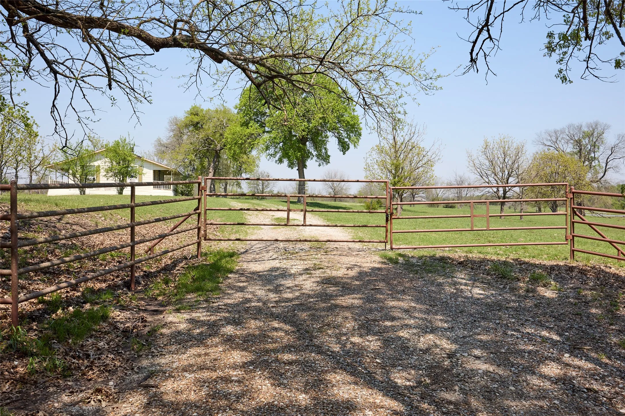 Ranch For Sale in Fannin County , 0000 County Road 5040, Leonard, Texas 75452, 0, 0, Garage spaces, 0 Sqft, built in 1950, mls#20897443, Real Estate Agent in Leonard, Homes For Sale in Fannin county, Homes For Sale in Leonard, Realtor in Leonard Texas, Real Estate Brokerage Independent Realty Texas, Luminita Cordes Realtor