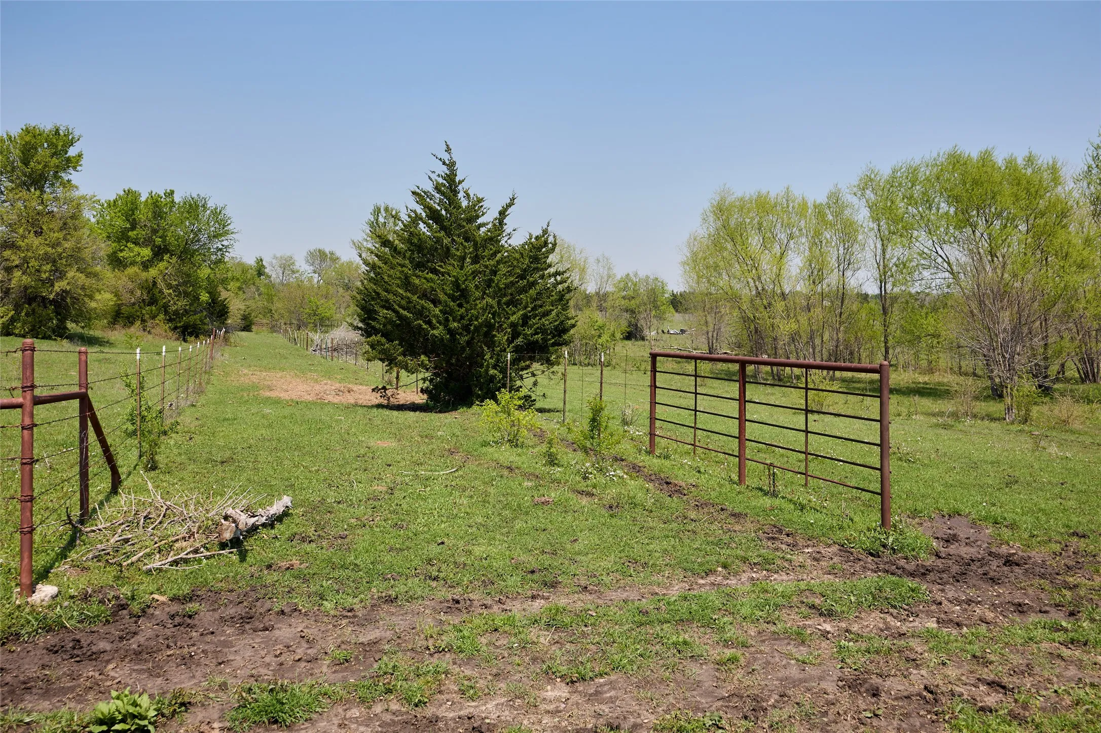 Ranch For Sale in Fannin County , 0000 County Road 5040, Leonard, Texas 75452, 0, 0, Garage spaces, 0 Sqft, built in 1950, mls#20897443, Real Estate Agent in Leonard, Homes For Sale in Fannin county, Homes For Sale in Leonard, Realtor in Leonard Texas, Real Estate Brokerage Independent Realty Texas, Luminita Cordes Realtor