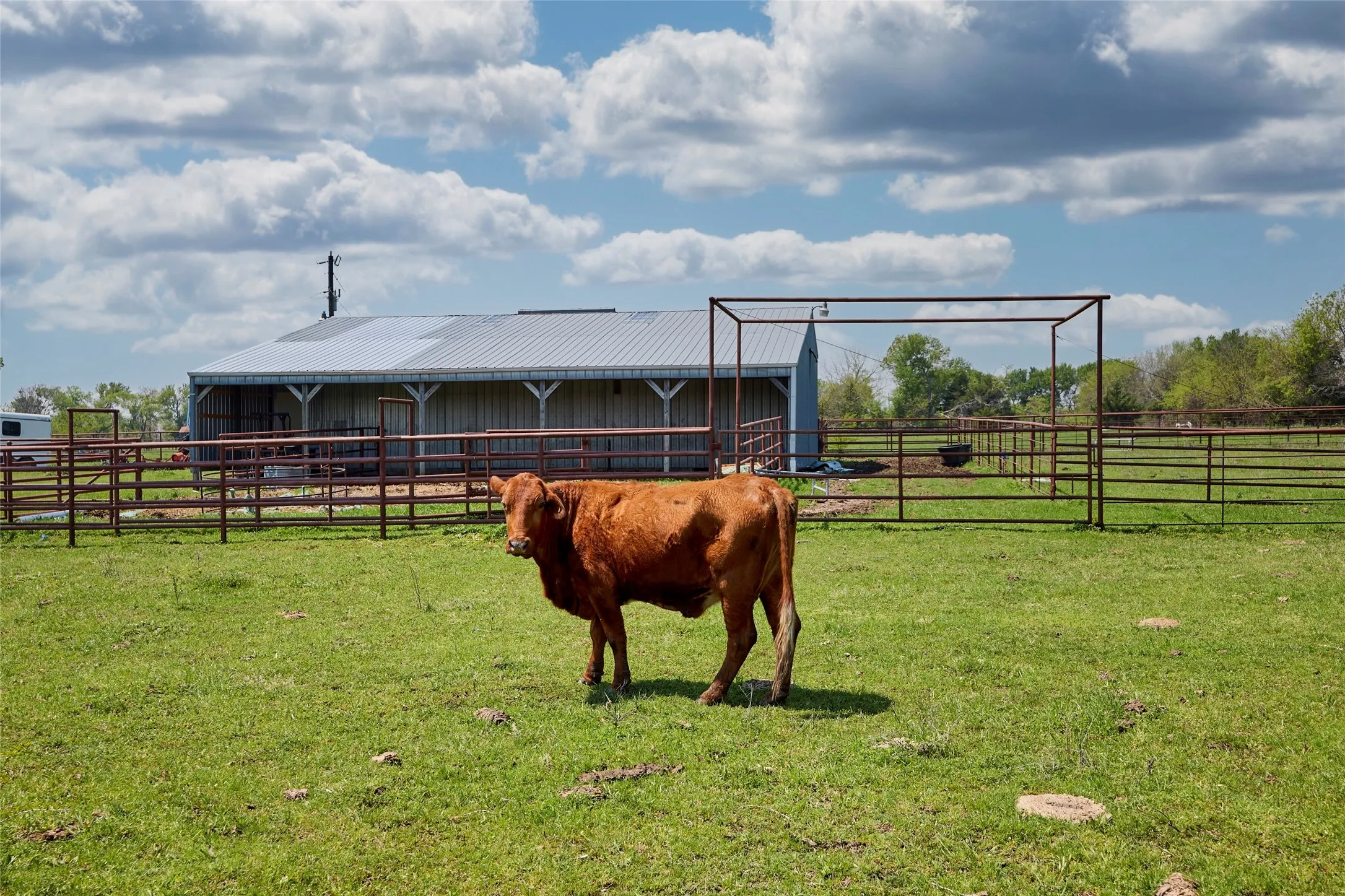 Ranch For Sale in Fannin County , 0000 County Road 5040, Leonard, Texas 75452, 0, 0, Garage spaces, 0 Sqft, built in 1950, mls#20897443, Real Estate Agent in Leonard, Homes For Sale in Fannin county, Homes For Sale in Leonard, Realtor in Leonard Texas, Real Estate Brokerage Independent Realty Texas, Luminita Cordes Realtor