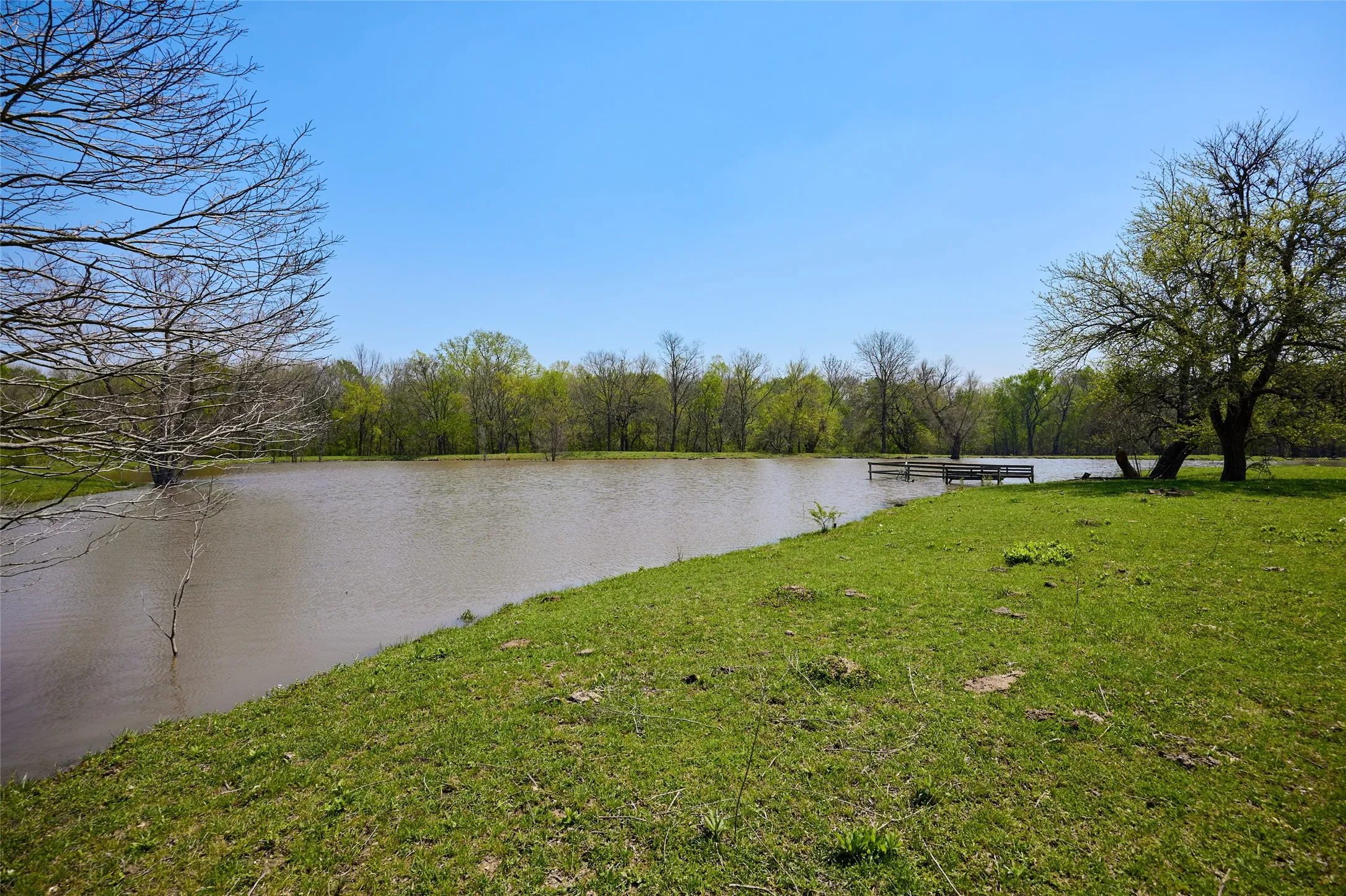 Ranch For Sale in Fannin County , 0000 County Road 5040, Leonard, Texas 75452, 0, 0, Garage spaces, 0 Sqft, built in 1950, mls#20897443, Real Estate Agent in Leonard, Homes For Sale in Fannin county, Homes For Sale in Leonard, Realtor in Leonard Texas, Real Estate Brokerage Independent Realty Texas, Luminita Cordes Realtor