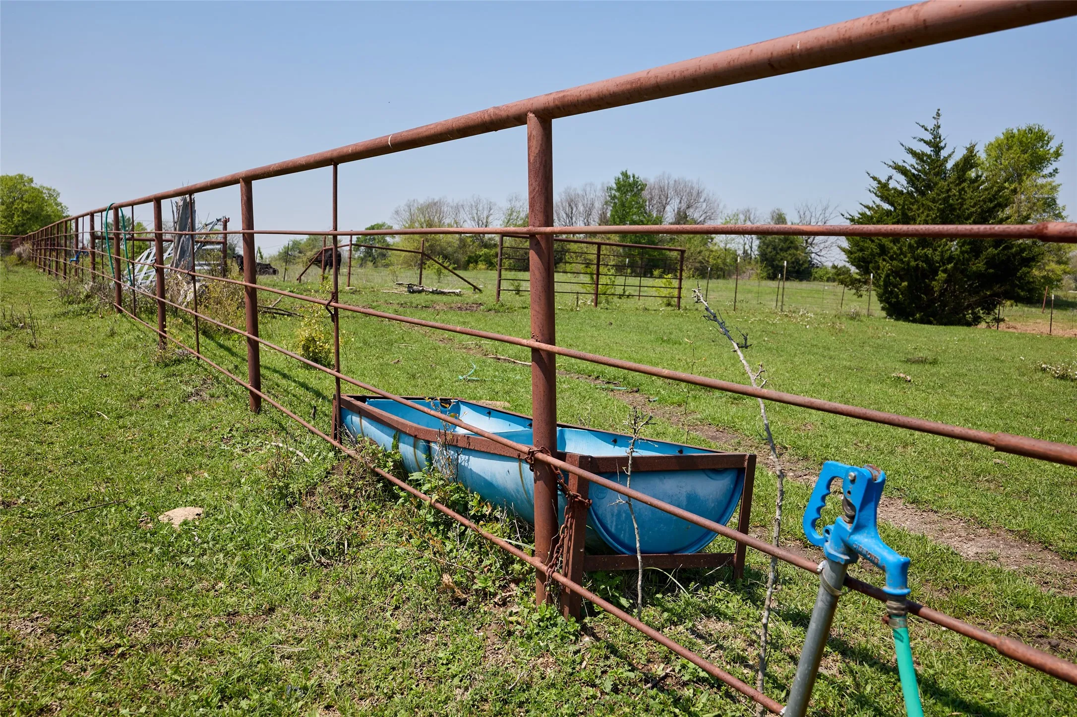 Multiple hydrants provide public water for livestock