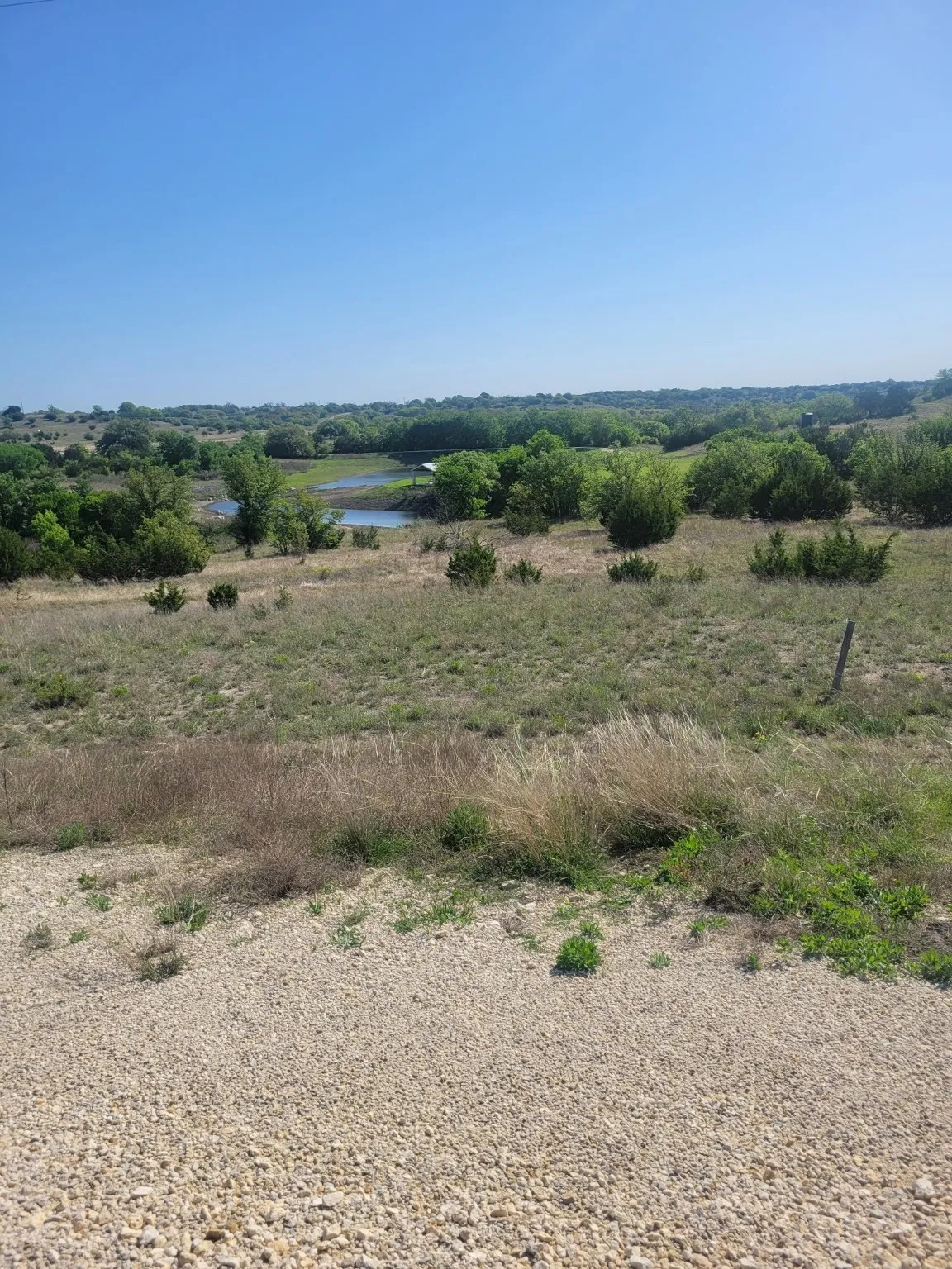 Unimproved Land For Sale in Somervell County , 2073 Hidden Oaks Trail, Glen Rose, Texas 76690, 0, 0, Garage spaces, 0 Sqft, built in 0, mls#20897737, Real Estate Agent in Glen Rose, Homes For Sale in Somervell county, Homes For Sale in Glen Rose, Realtor in Glen Rose Texas, Real Estate Brokerage Independent Realty Texas, Luminita Cordes Realtor
