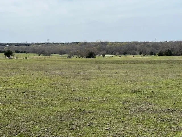 Unimproved Land For Sale in Collin County , TBD 36 County Road 670, Blue Ridge, Texas 75424, 0, 0, Garage spaces, 0 Sqft, built in 0, Price $897,000, mls#20858602, Real Estate Agent in Blue Ridge, Homes For Sale in Collin county, Homes For Sale in Blue Ridge, Realtor in Blue Ridge Texas, Real Estate Brokerage Independent Realty Texas, Luminita Cordes Realtor