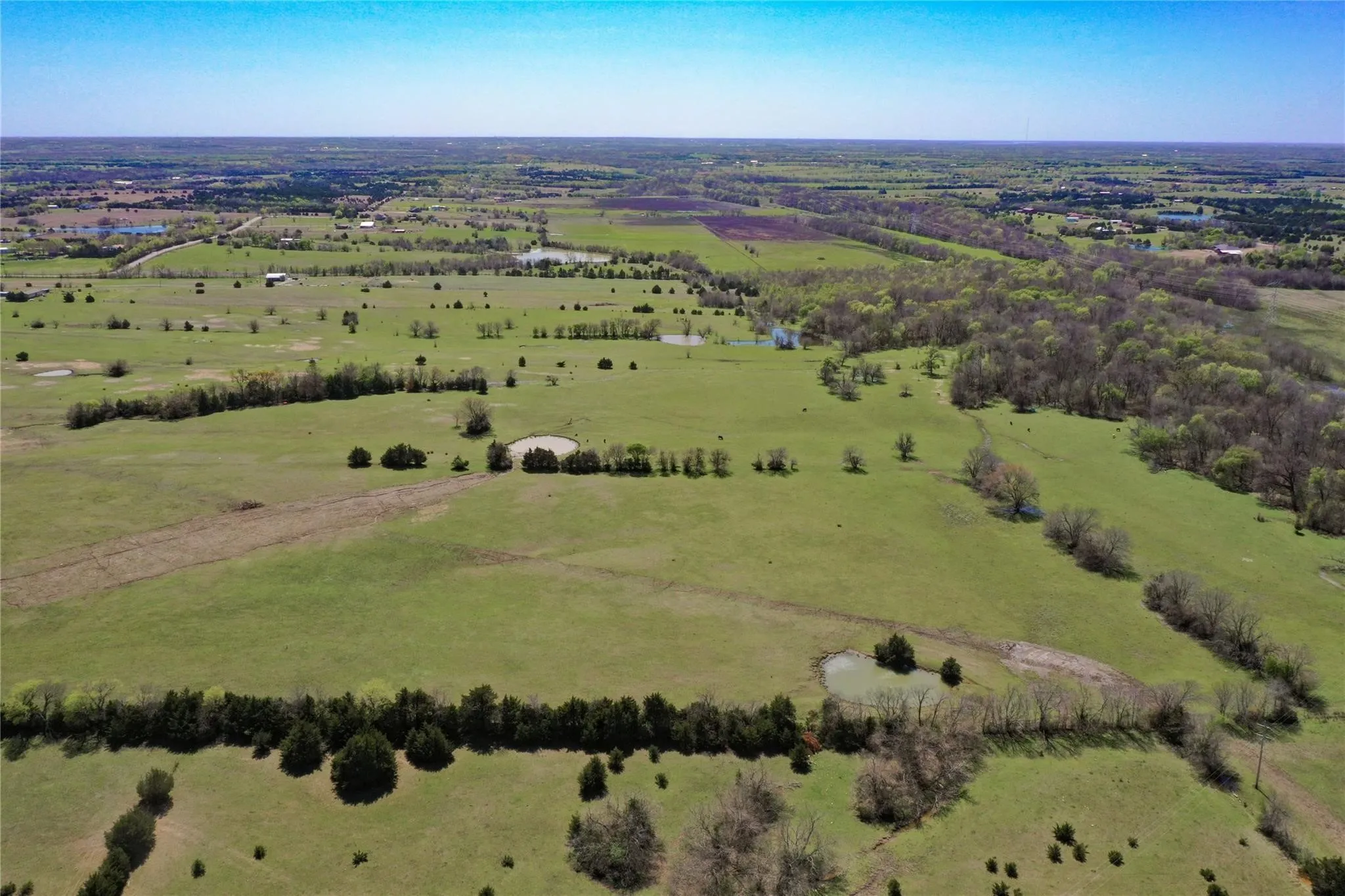 Unimproved Land For Sale in Collin County , TBD 36 County Road 670, Blue Ridge, Texas 75424, 0, 0, Garage spaces, 0 Sqft, built in 0, Price $897,000, mls#20858602, Real Estate Agent in Blue Ridge, Homes For Sale in Collin county, Homes For Sale in Blue Ridge, Realtor in Blue Ridge Texas, Real Estate Brokerage Independent Realty Texas, Luminita Cordes Realtor