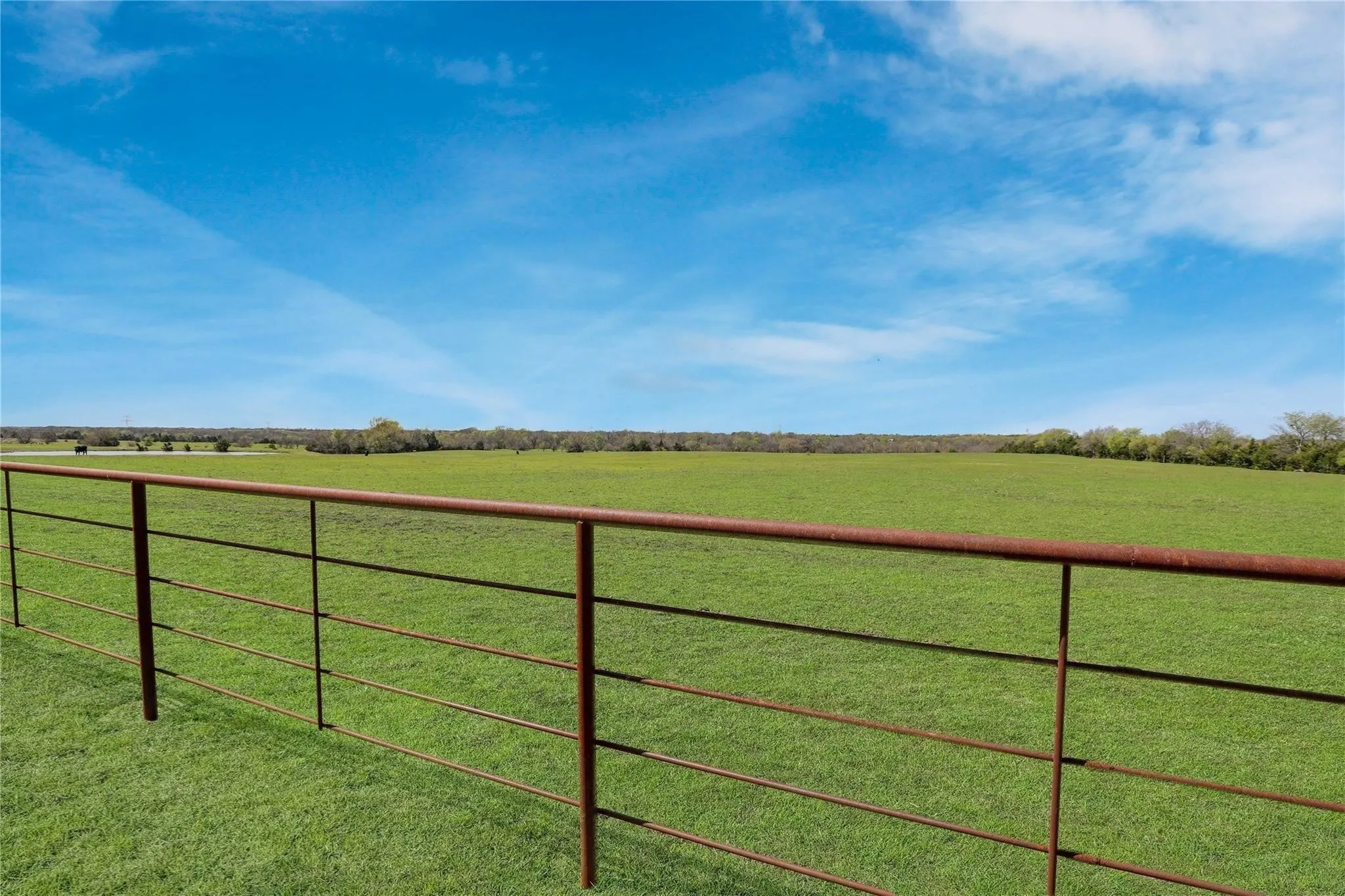 Unimproved Land For Sale in Collin County , TBD 36 County Road 670, Blue Ridge, Texas 75424, 0, 0, Garage spaces, 0 Sqft, built in 0, Price $897,000, mls#20858602, Real Estate Agent in Blue Ridge, Homes For Sale in Collin county, Homes For Sale in Blue Ridge, Realtor in Blue Ridge Texas, Real Estate Brokerage Independent Realty Texas, Luminita Cordes Realtor