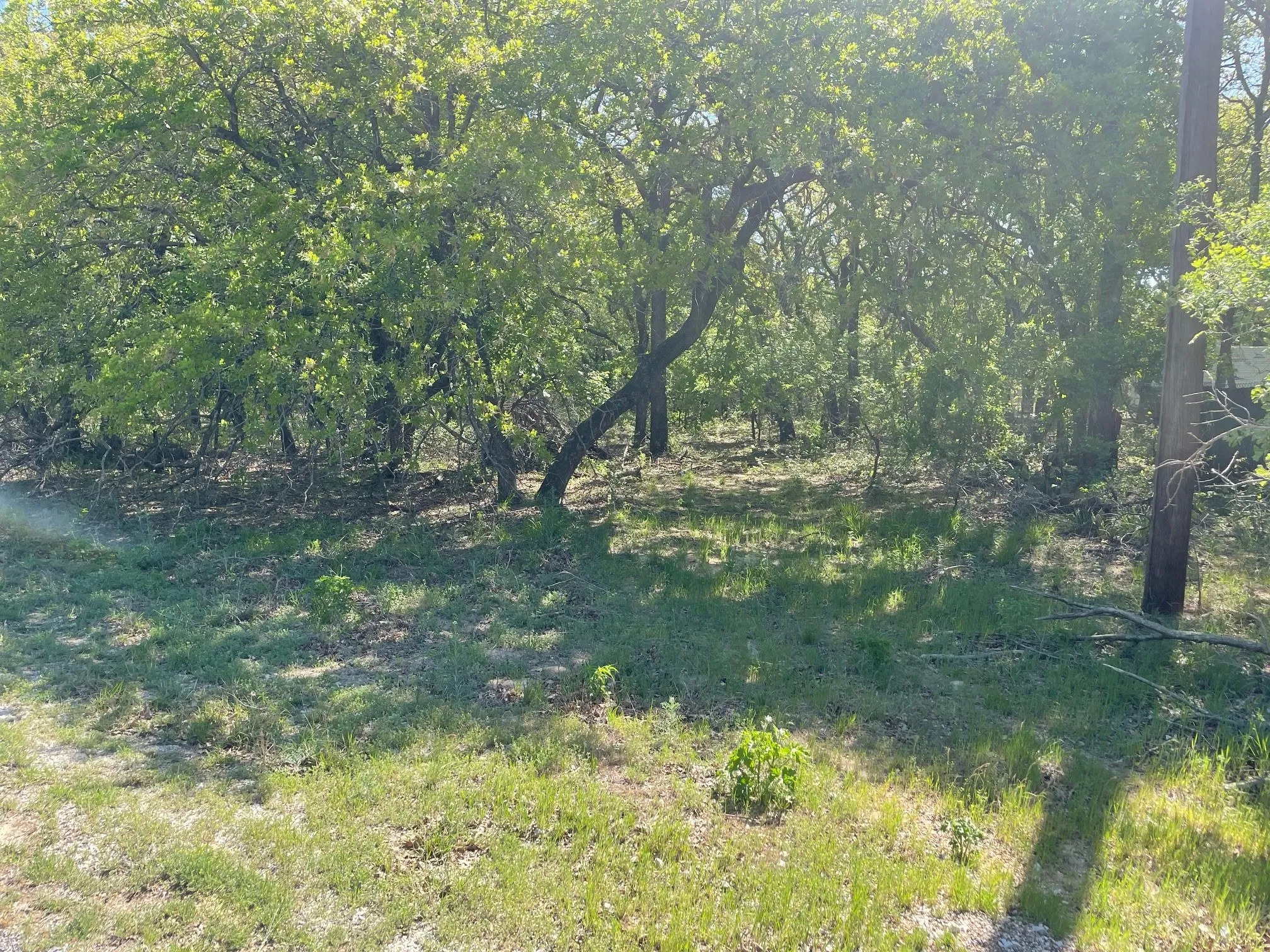 Unimproved Land For Sale in Wise County , TBD Griffin St Griffin Street, Azle, Texas 76020, 0, 0, Garage spaces, 0 Sqft, built in 0, mls#20892320, Real Estate Agent in Azle, Homes For Sale in Wise county, Homes For Sale in Azle, Realtor in Azle Texas, Real Estate Brokerage Independent Realty Texas, Luminita Cordes Realtor