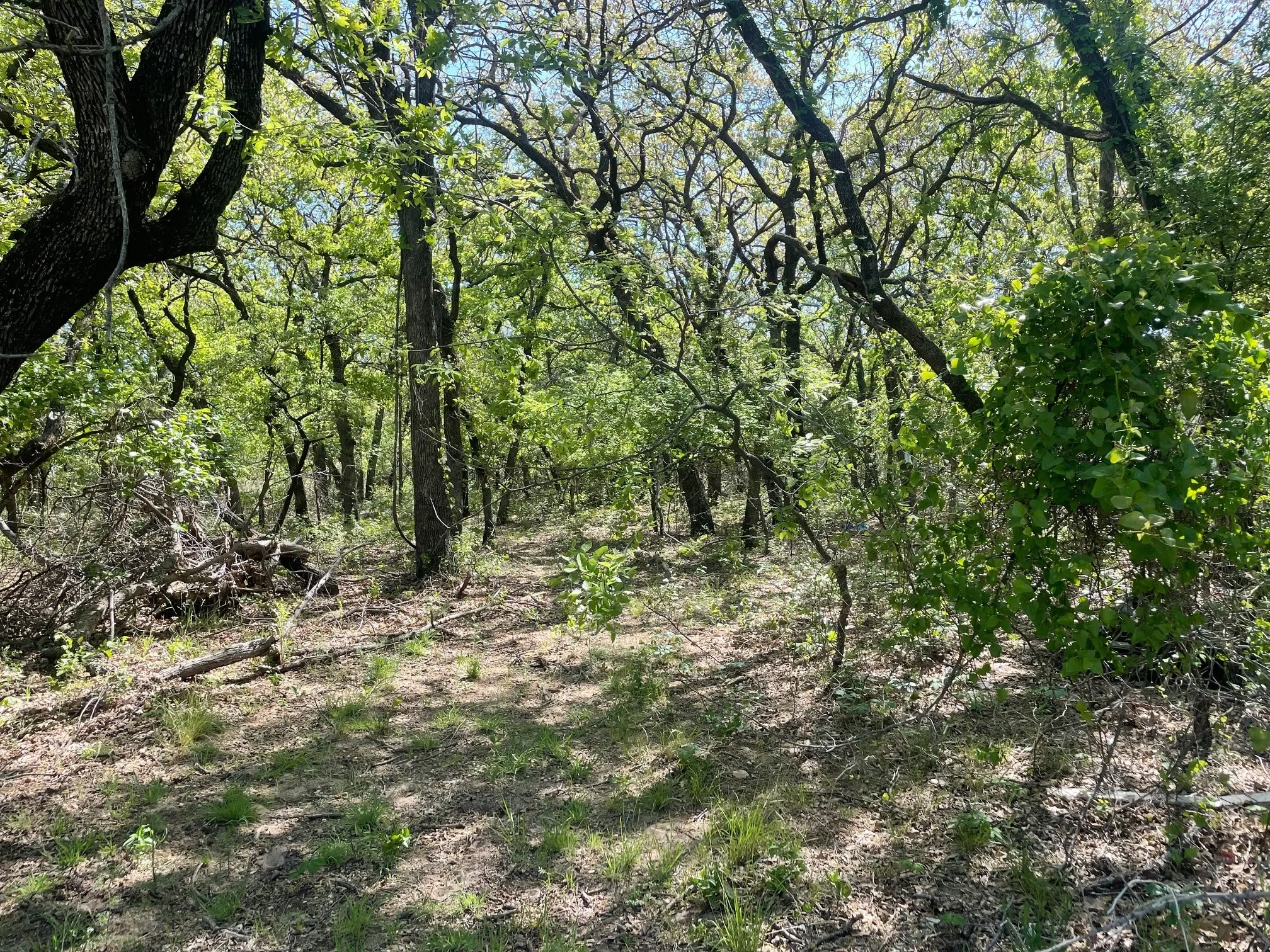 Unimproved Land For Sale in Wise County , TBD Griffin St Griffin Street, Azle, Texas 76020, 0, 0, Garage spaces, 0 Sqft, built in 0, mls#20892320, Real Estate Agent in Azle, Homes For Sale in Wise county, Homes For Sale in Azle, Realtor in Azle Texas, Real Estate Brokerage Independent Realty Texas, Luminita Cordes Realtor