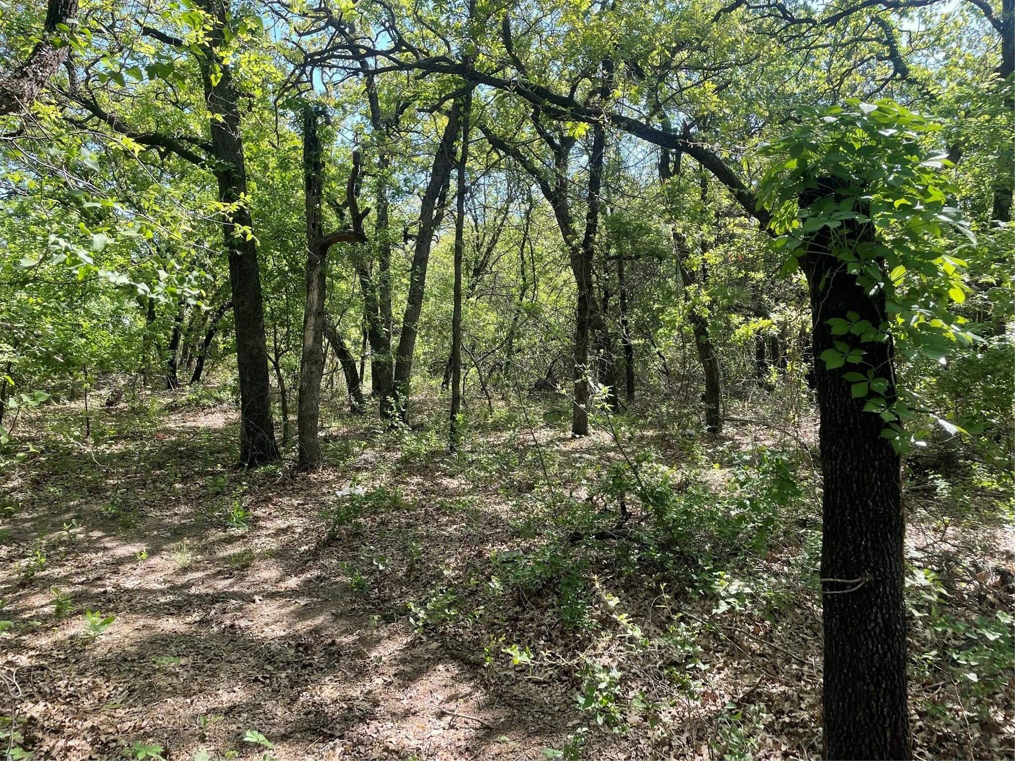 Unimproved Land For Sale in Wise County , TBD Griffin St Griffin Street, Azle, Texas 76020, 0, 0, Garage spaces, 0 Sqft, built in 0, mls#20892320, Real Estate Agent in Azle, Homes For Sale in Wise county, Homes For Sale in Azle, Realtor in Azle Texas, Real Estate Brokerage Independent Realty Texas, Luminita Cordes Realtor