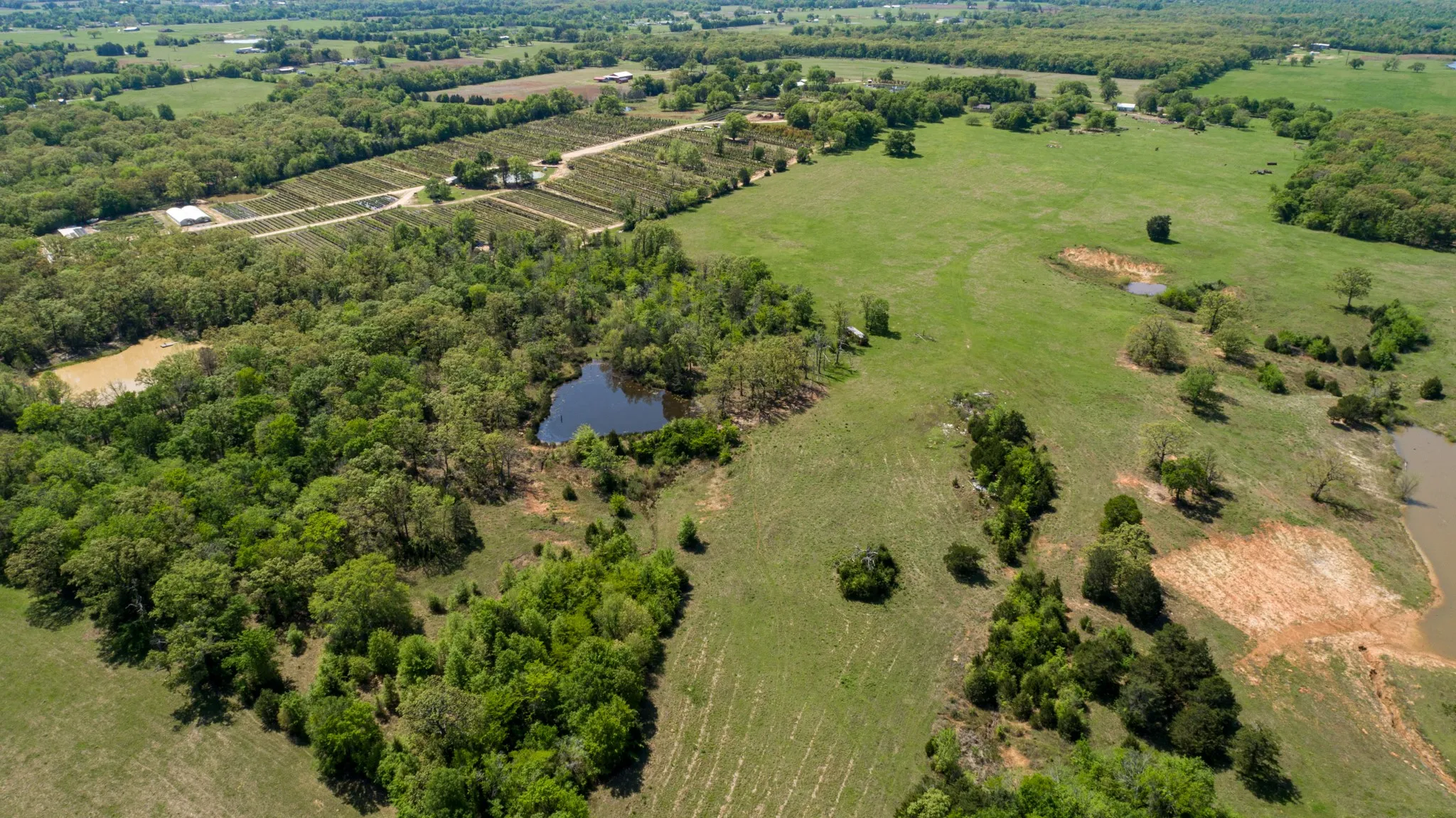 Bird's eye view with a rural view and a water view