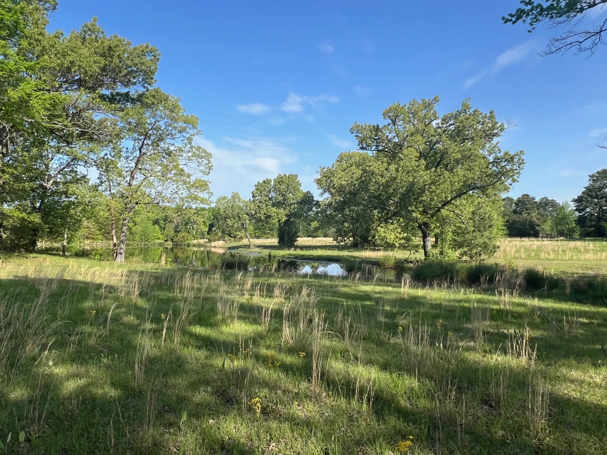 View of landscape with a water view