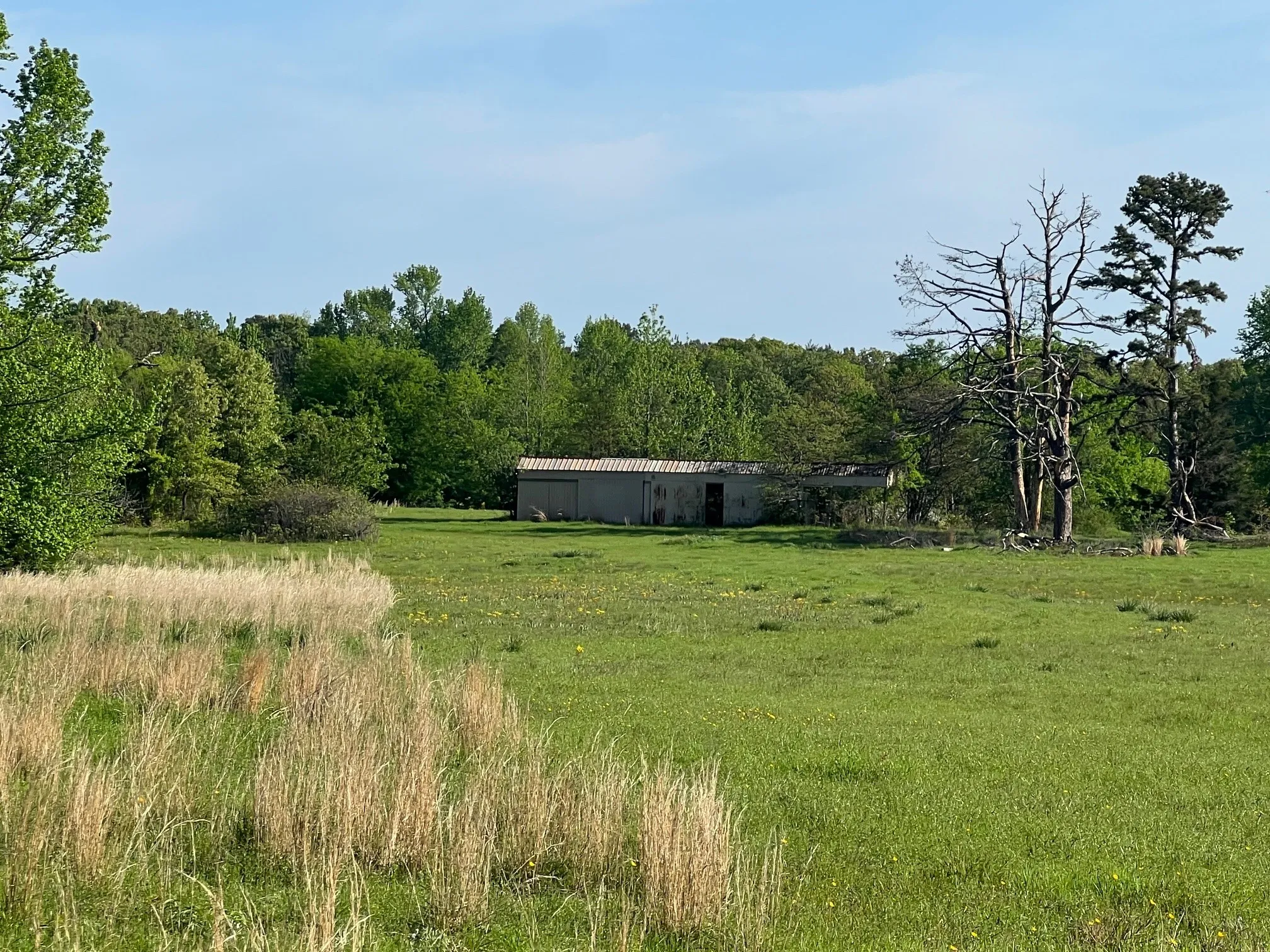View of yard featuring a rural view, a wooded view, a pole building, and an outbuilding