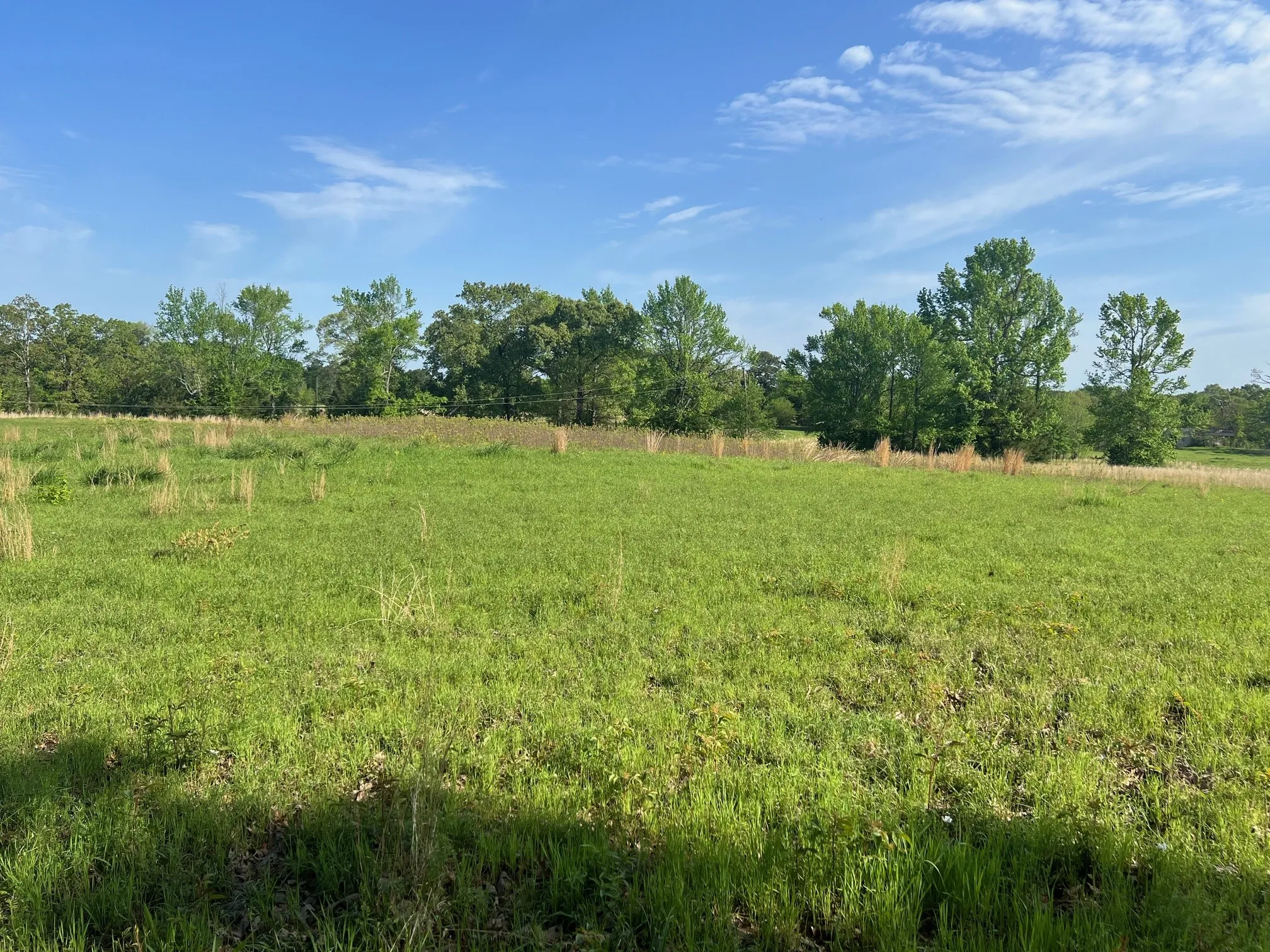 View of nature with a rural view